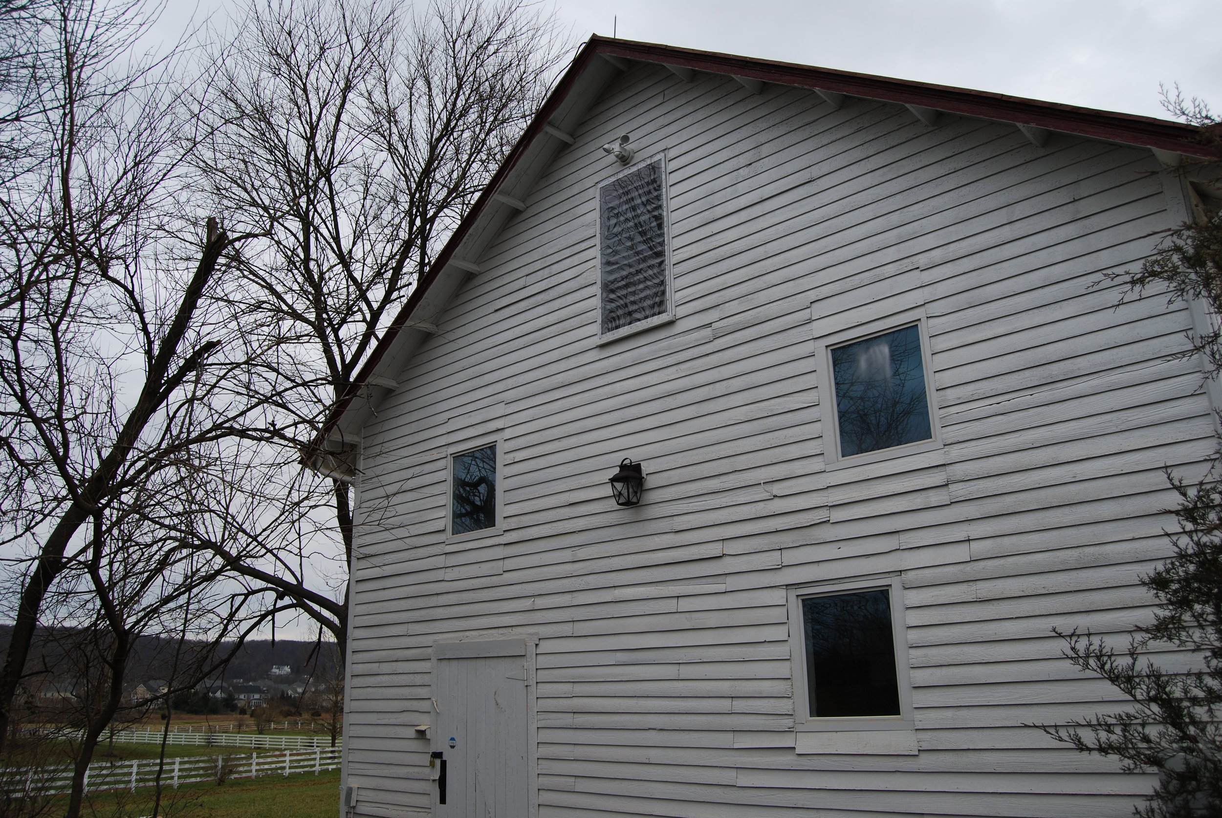 Exterior wall with trees and windows.JPG