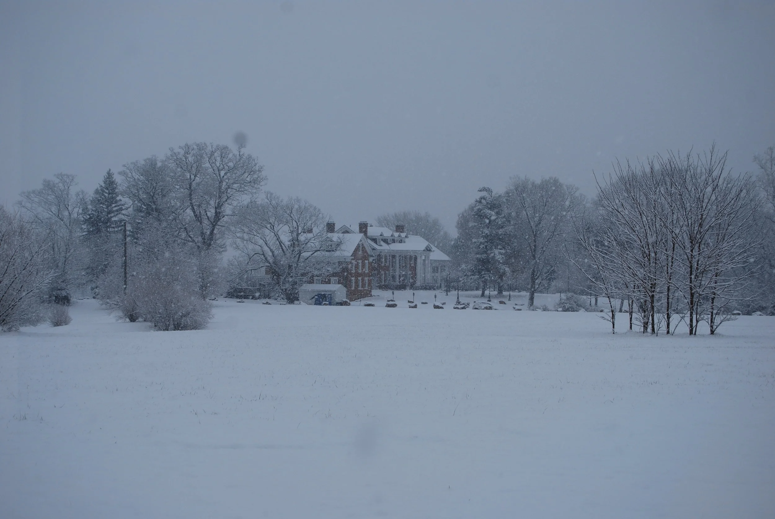 Raspberry in distance with snow.JPG