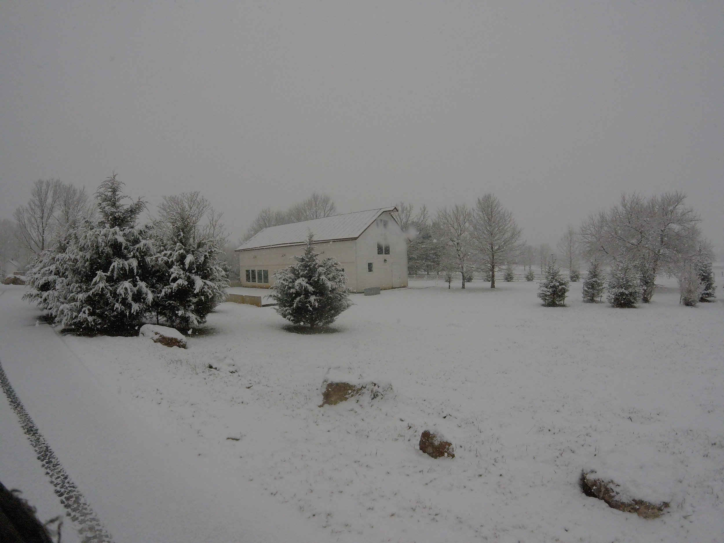 Hopkins Grove with snow from the side.JPG