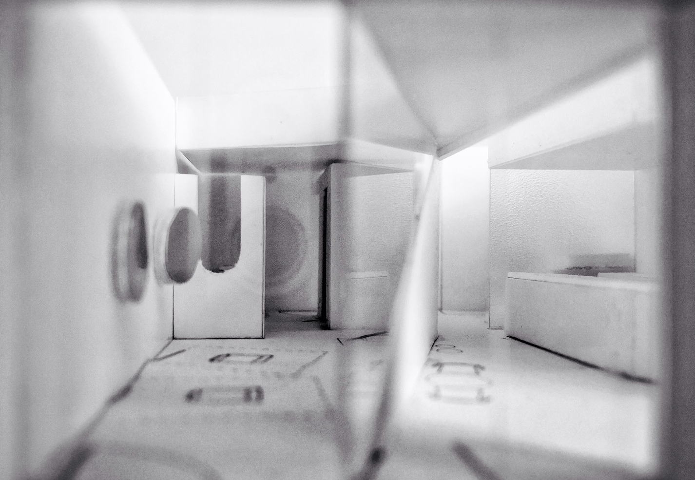 partition_early study model