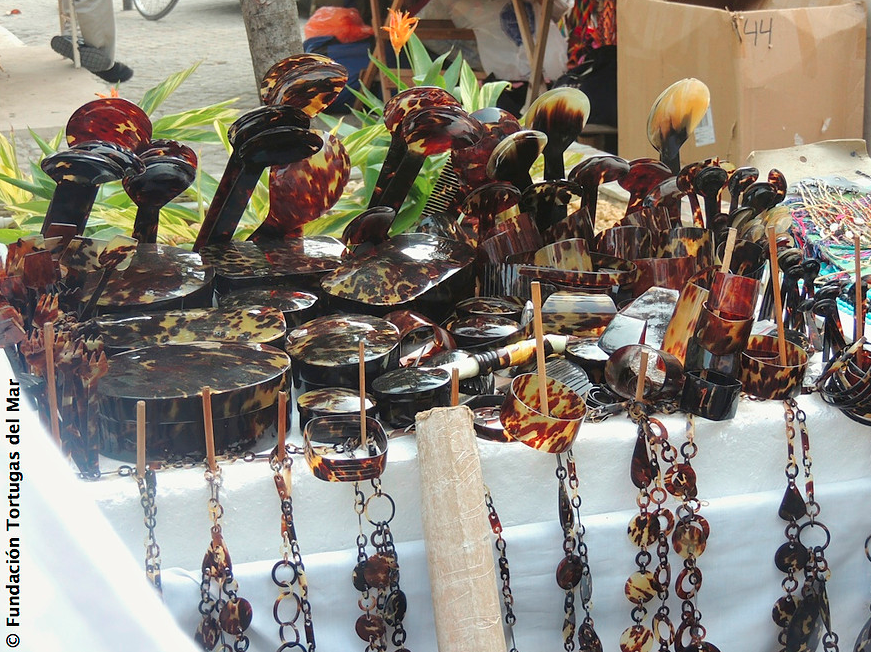 Turtleshell Products — Too Rare To Wear
