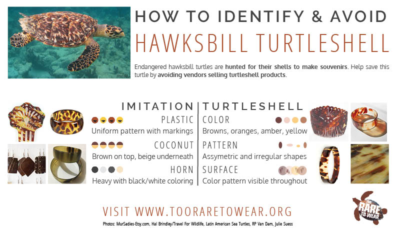 HawksbillGuide.jpg