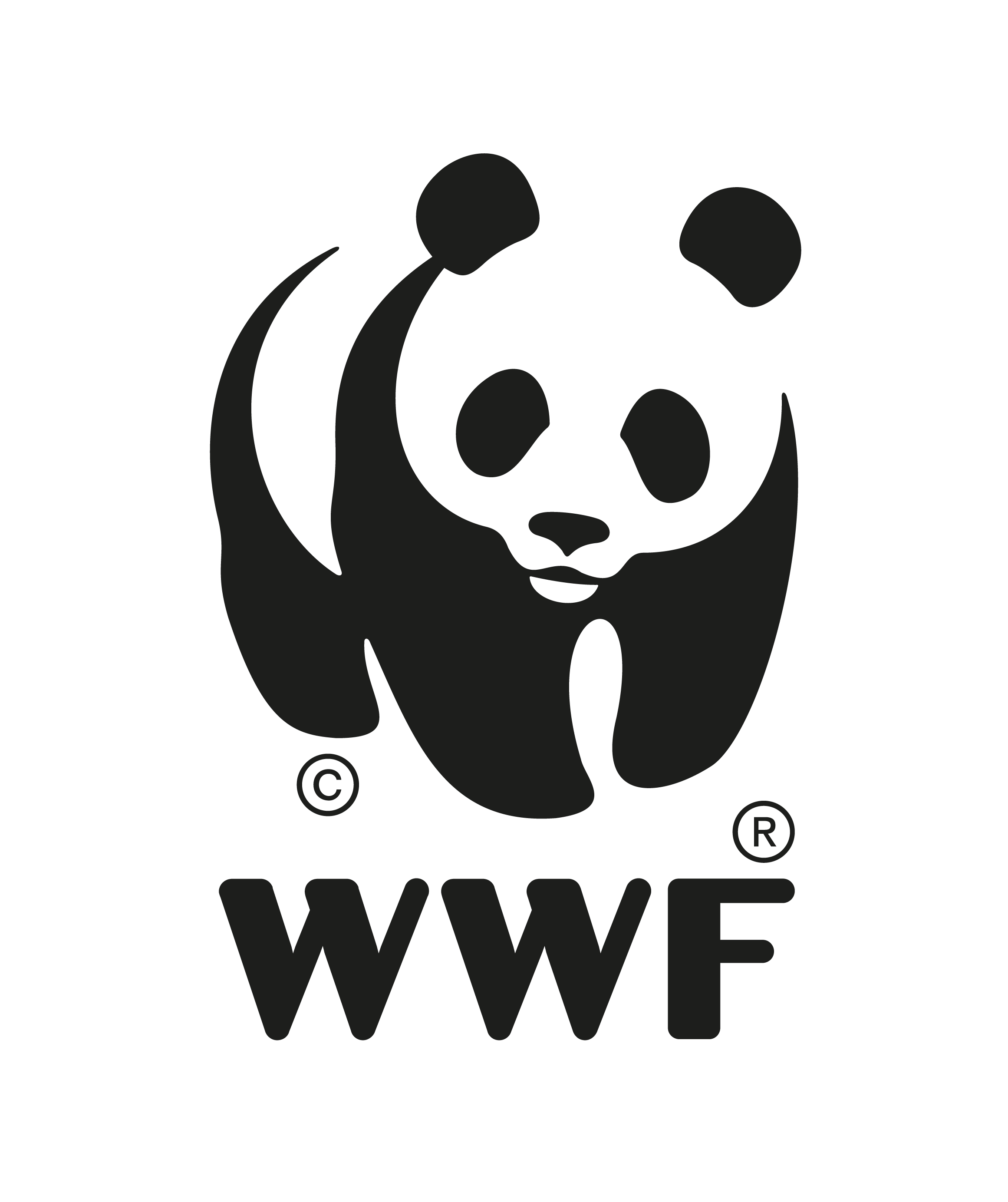 Logo Panda Transparente-01.png