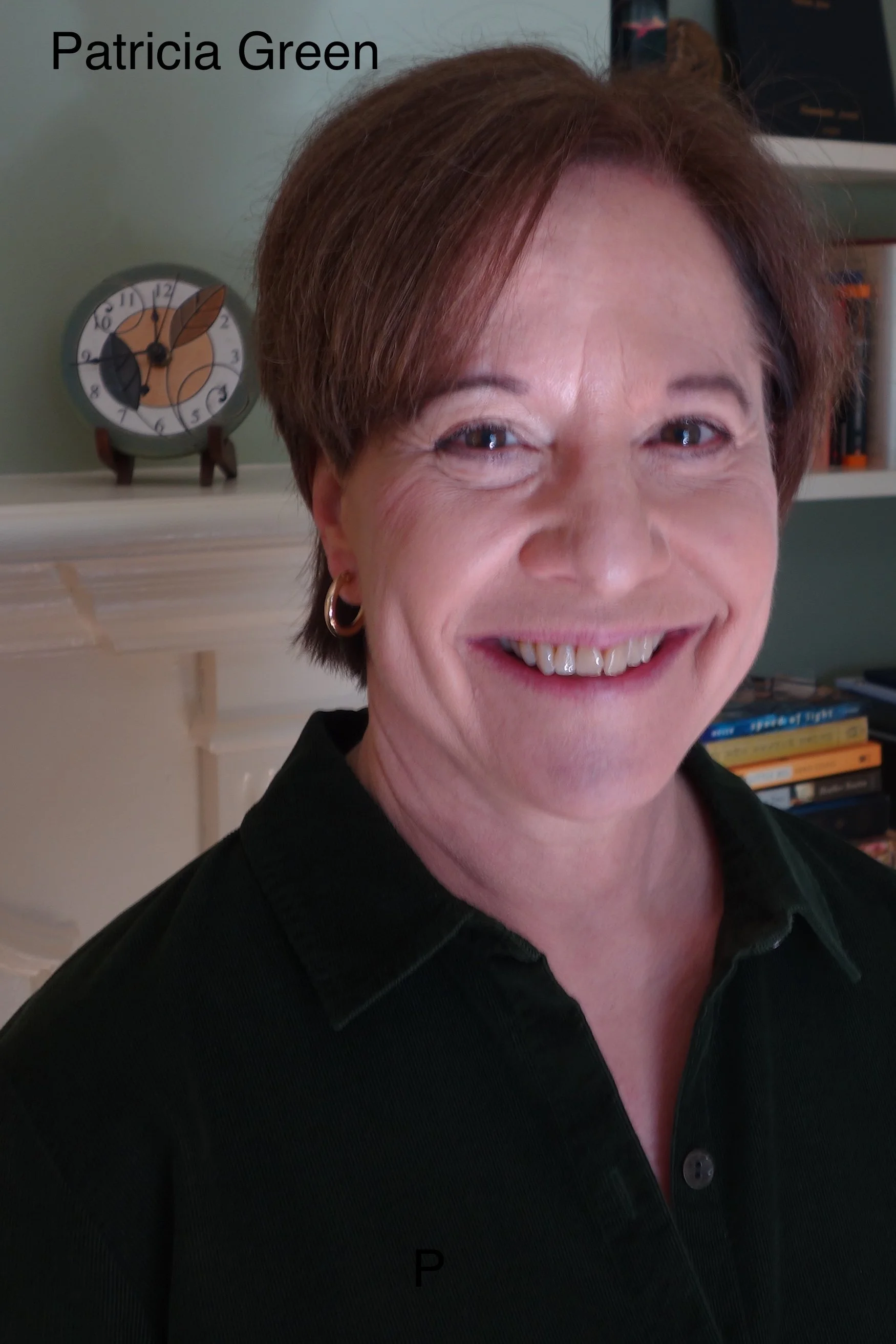 ONE-ON-ONE TV & FILM WRITING CONSULTS w/Emmy-winner PATRICIA GREEN