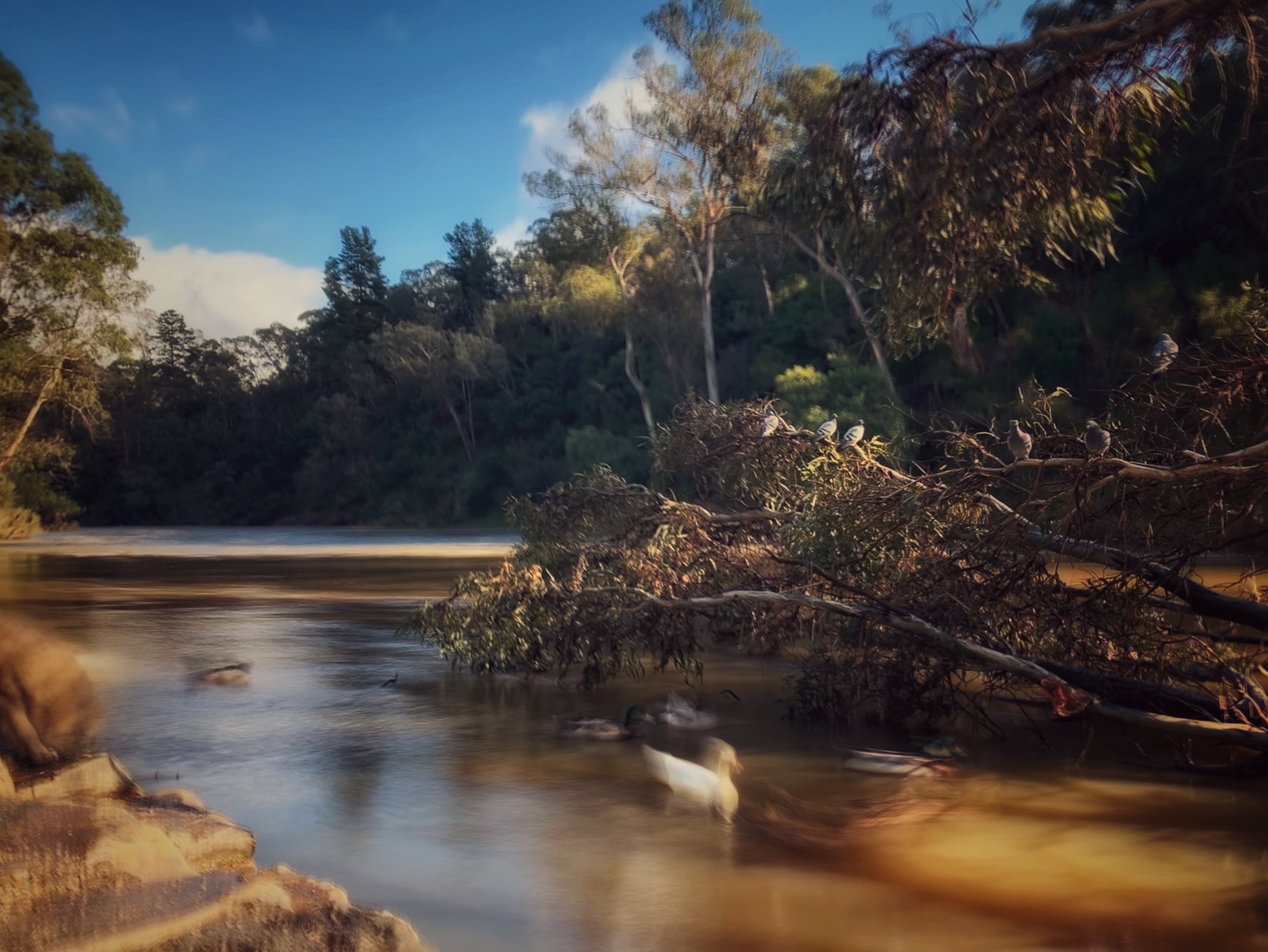 FullSizeRender copy 5.jpg