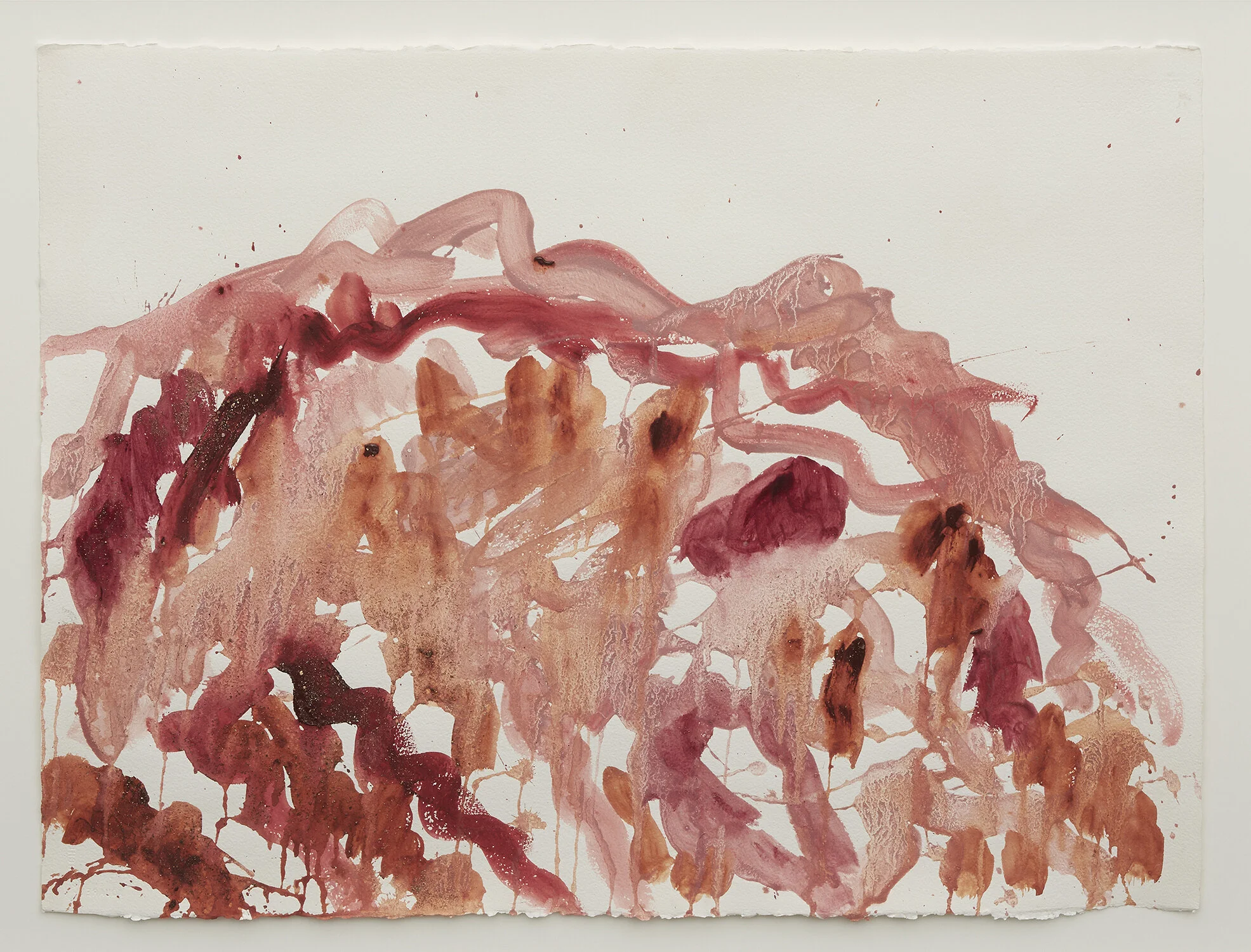 Paige Northwood Yeperenye / Emily Gap II , 2021 Found pigment, acrylic on arches watercolour paper 76.5 x 95 cm (framed) AUD $ 1,800 ENQUIRE