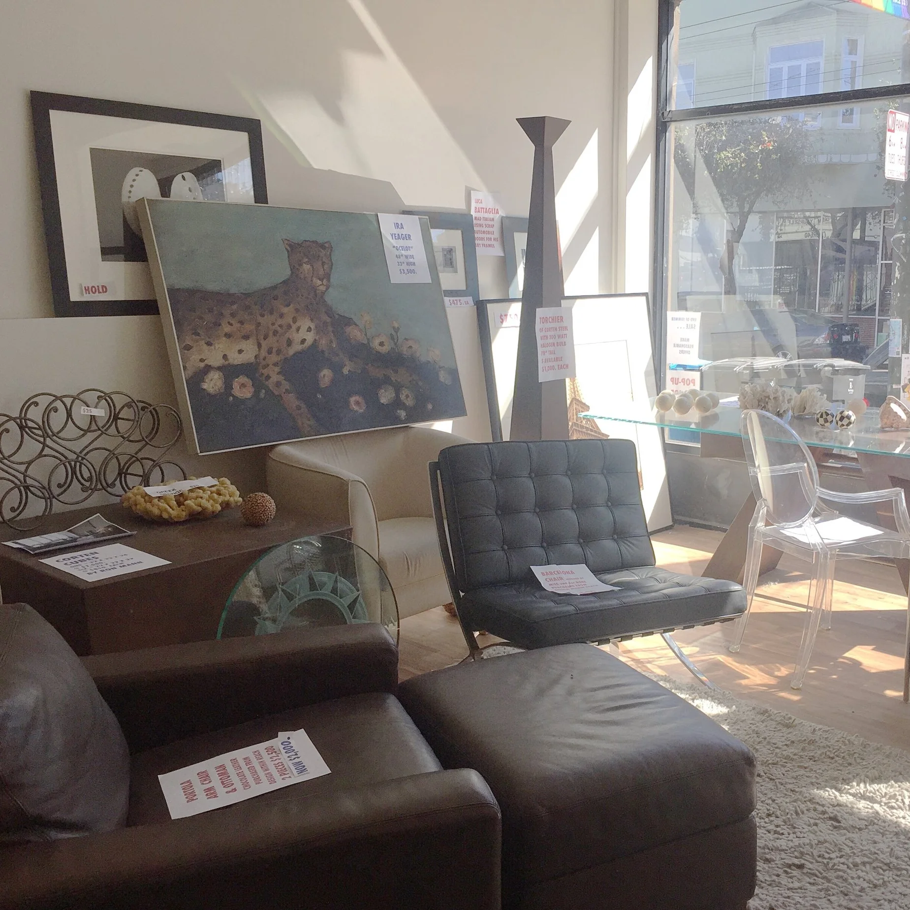 Peek Inside This Castro Pop-Up for Modern Furniture and a Charming Shop Dog