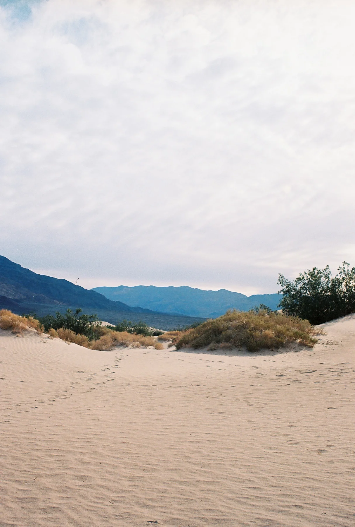 Death Valley April 13 8.jpg
