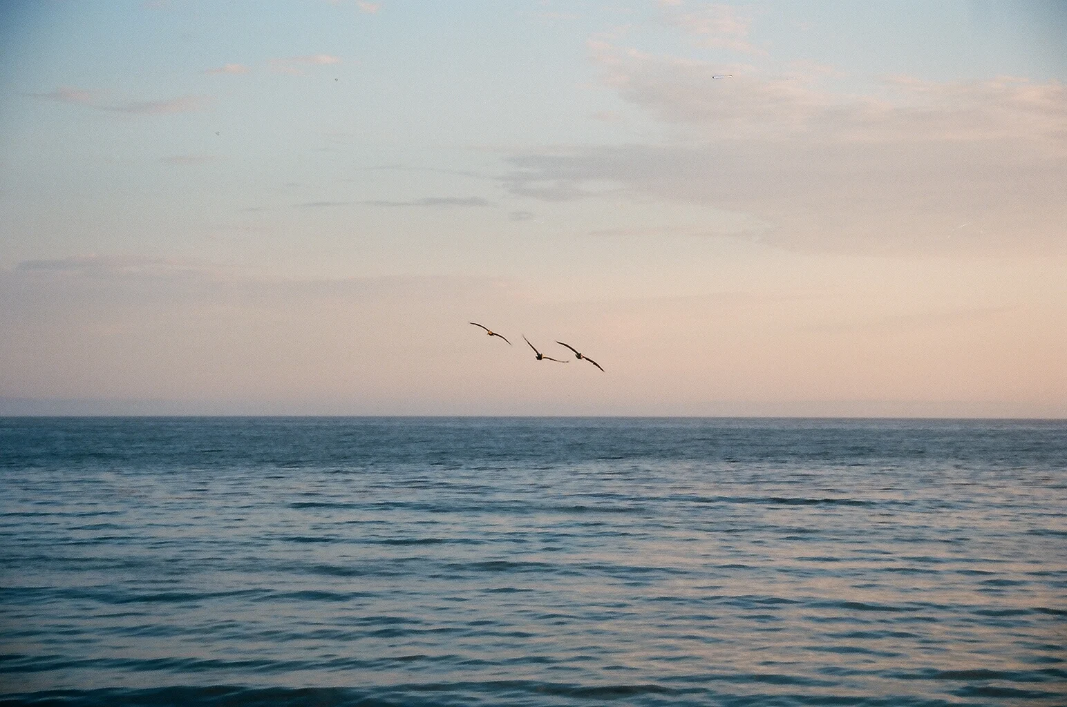 Coail Oil Sunset 3.JPG