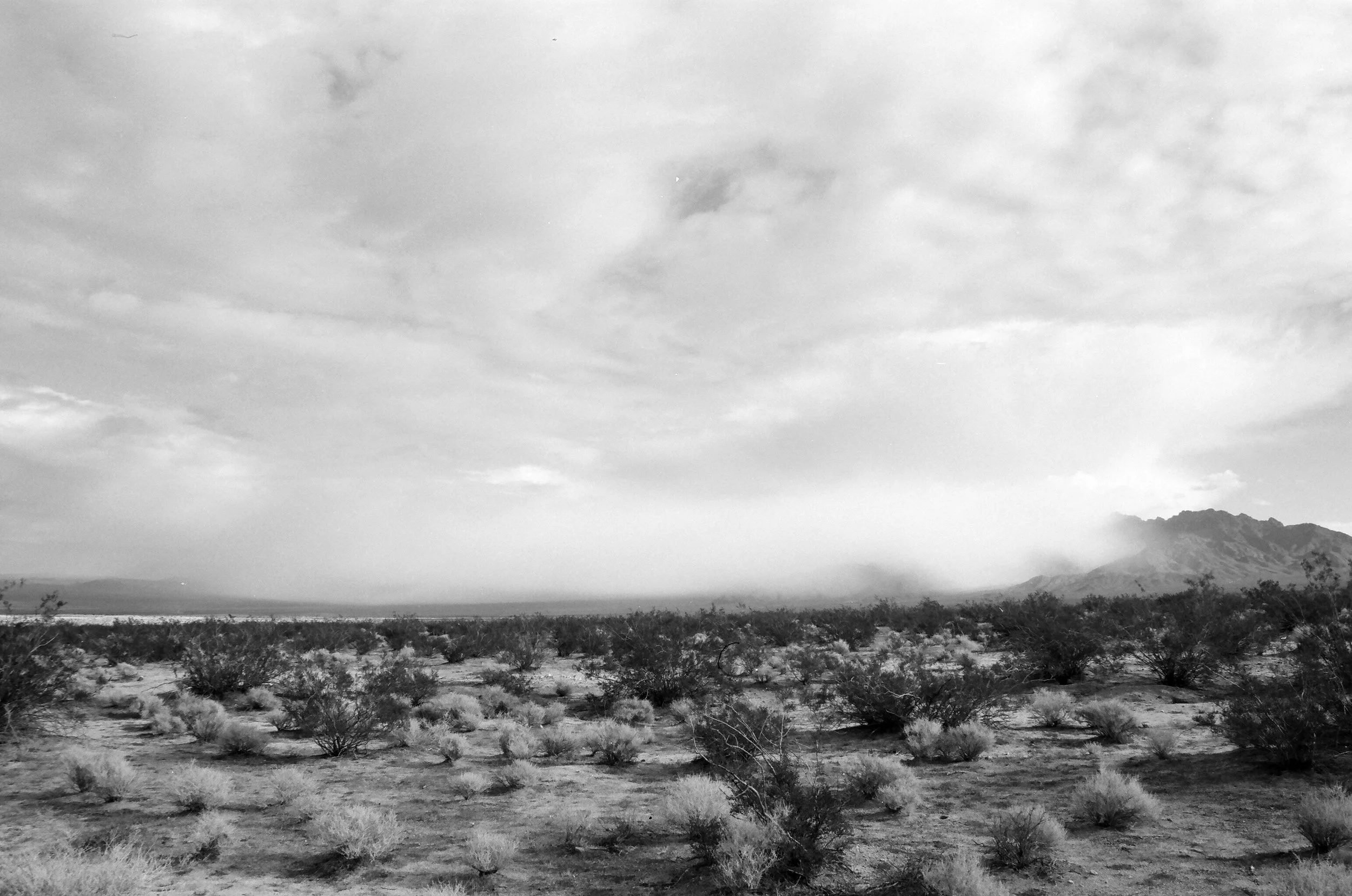 Mojave BW 3.JPG