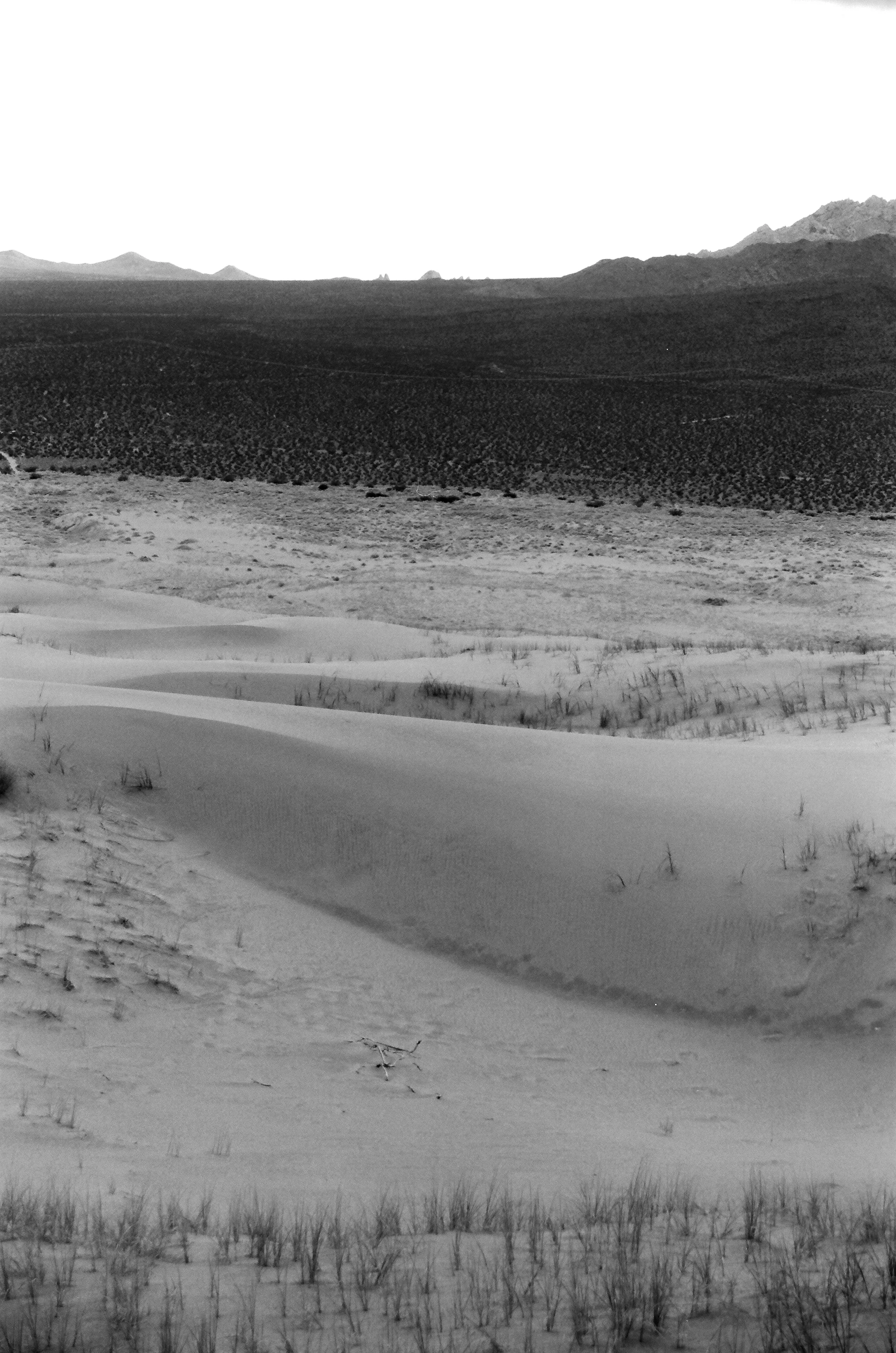 Mojave BW 5.JPG