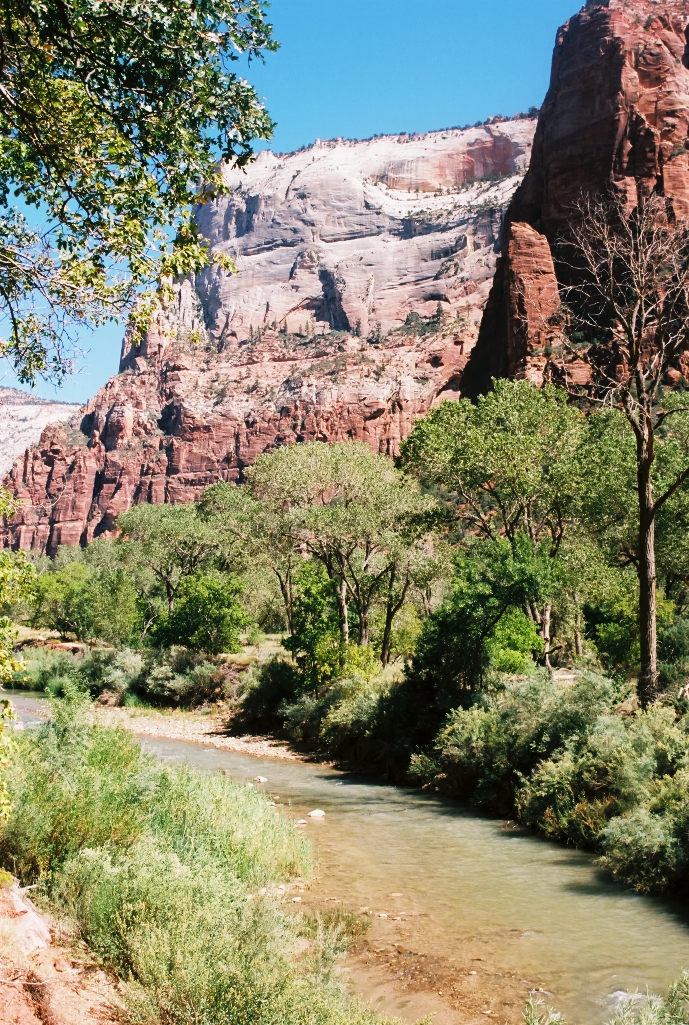 roadtrip2017114.jpg