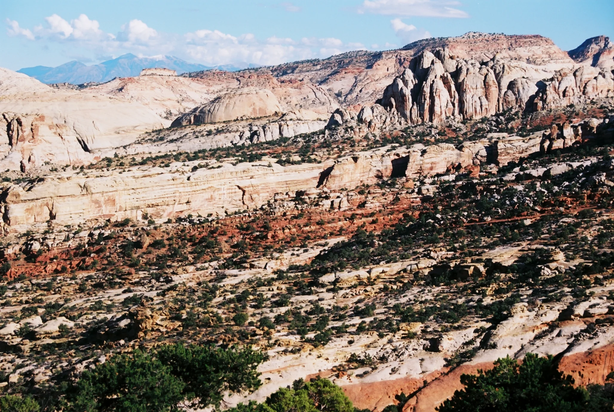 roadtrip2017260.jpg