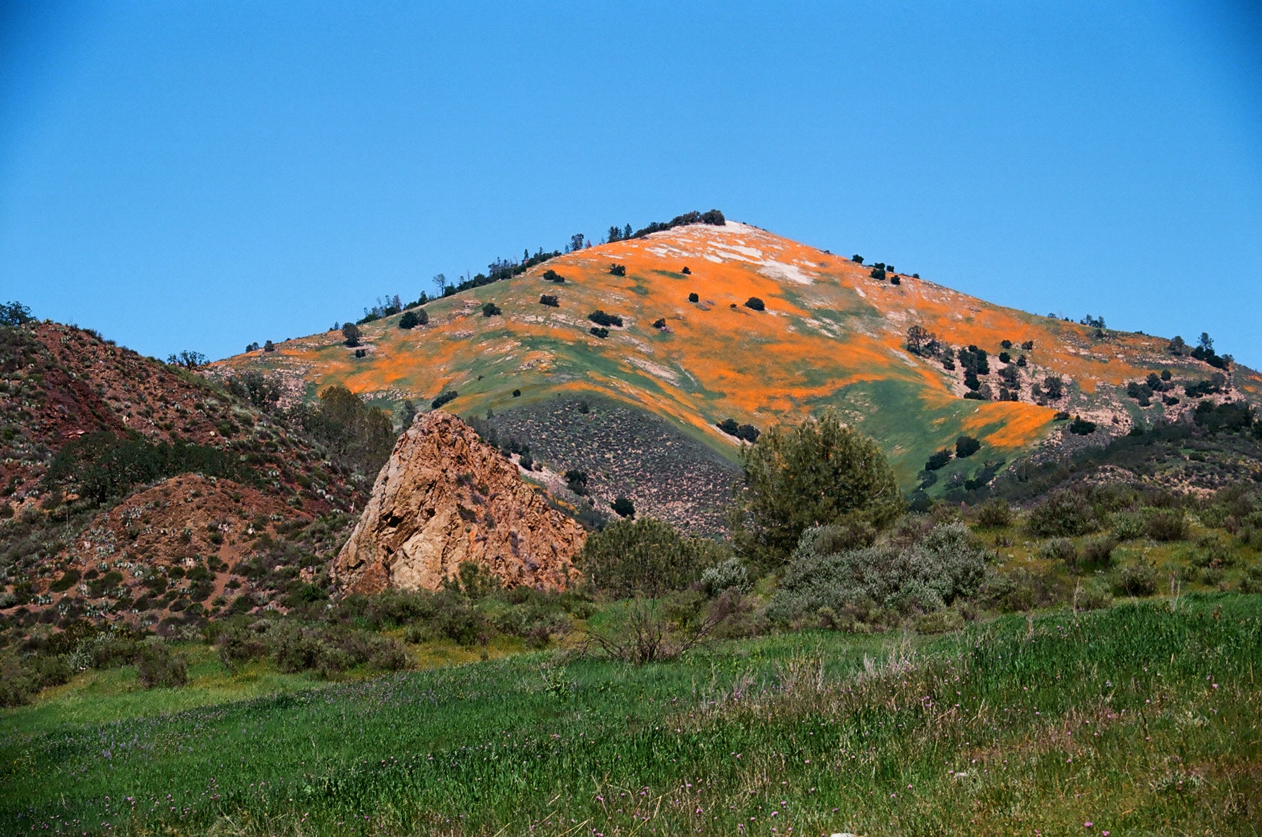 Grass Mountain 1.JPG