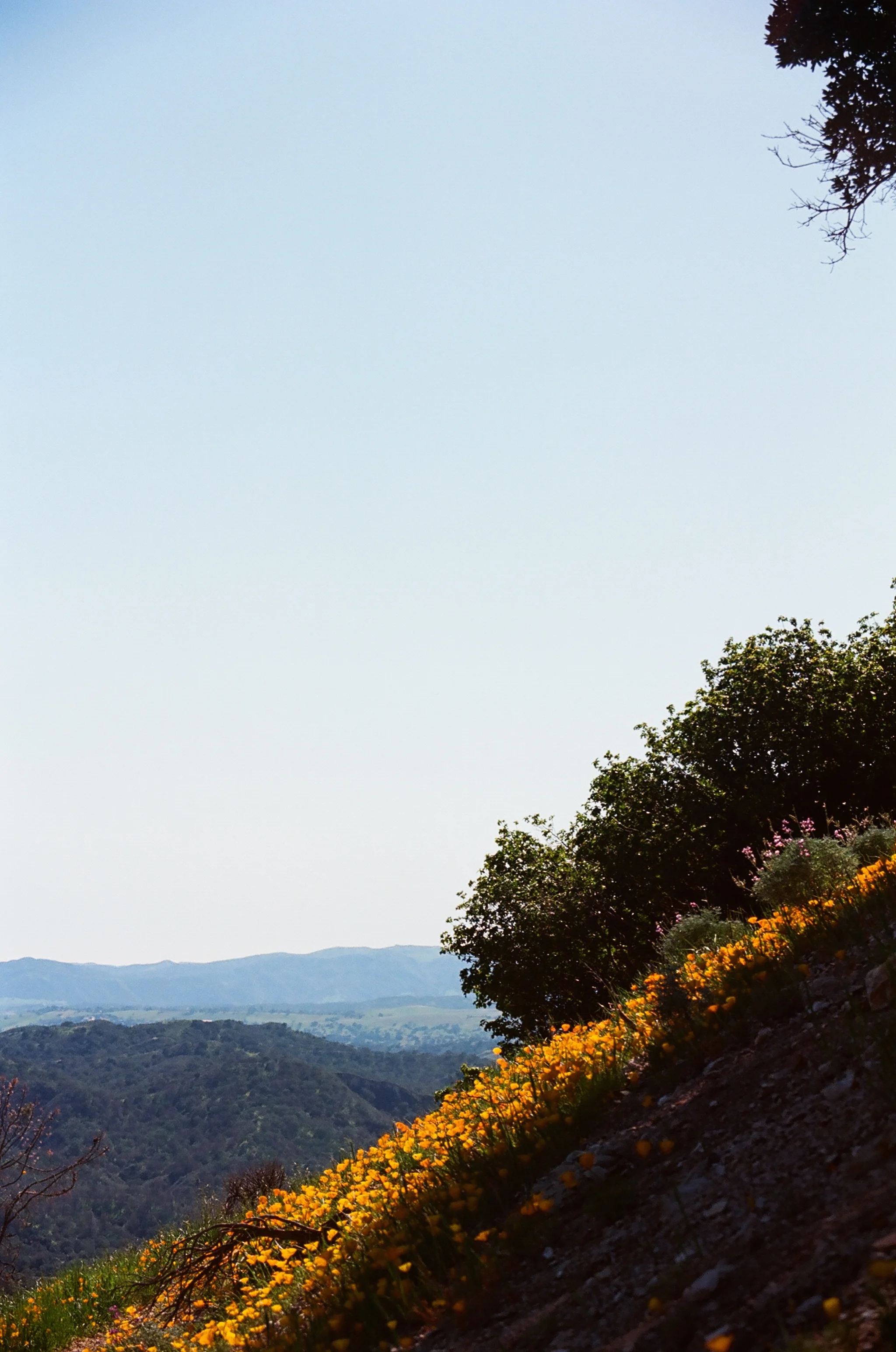 Grass Mountain 4.JPG