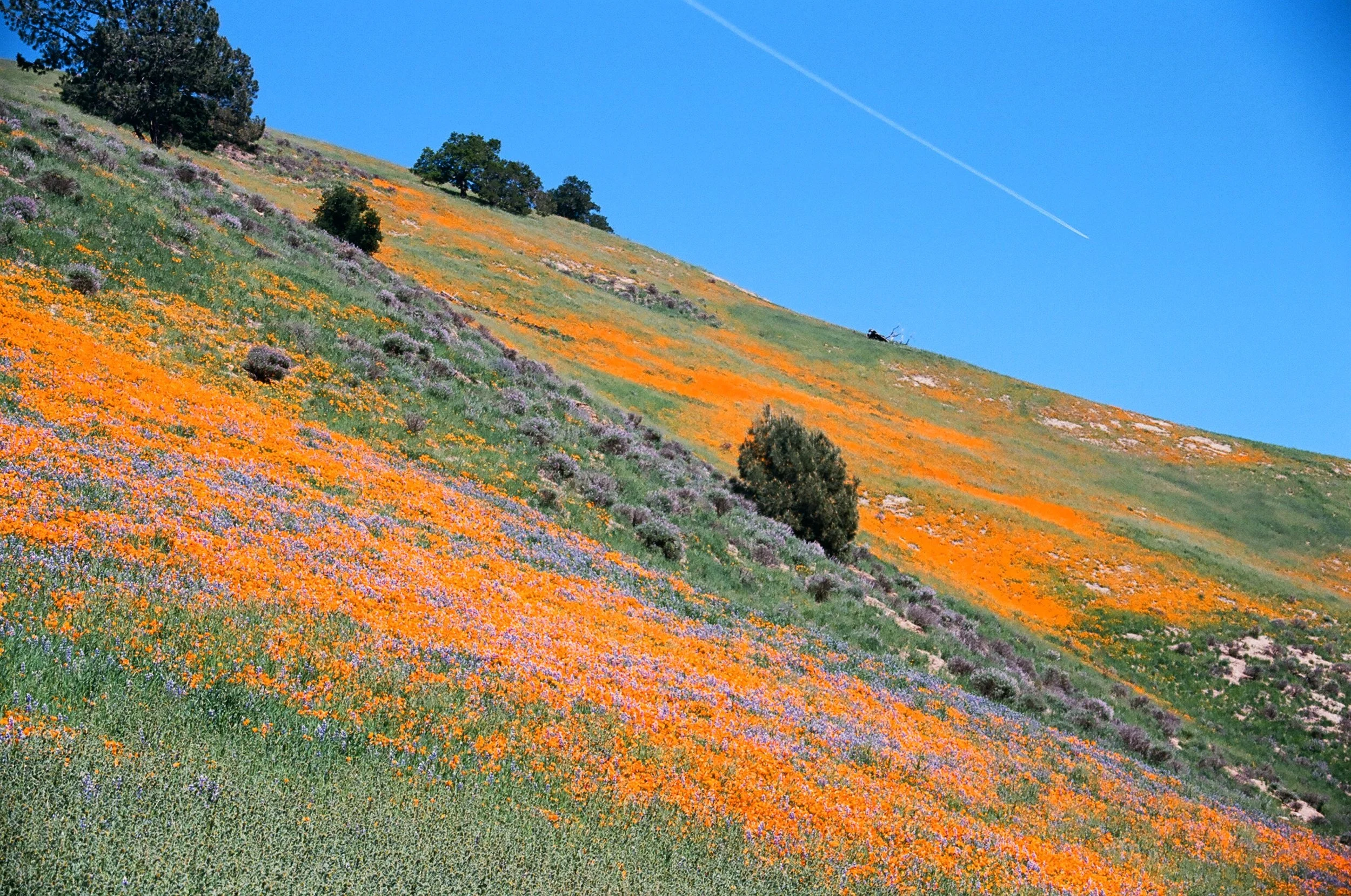 Grass Mountain 8.JPG