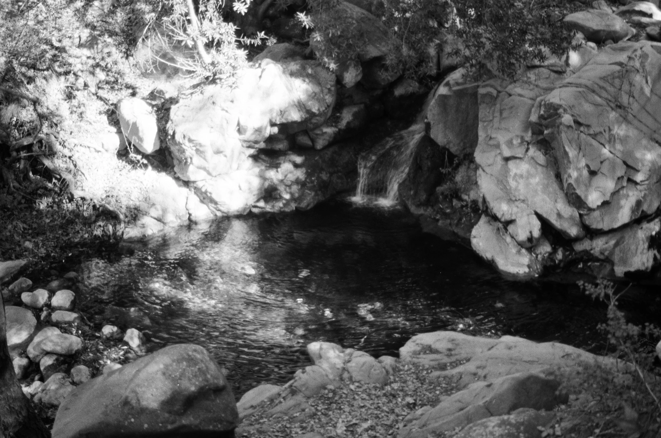 White Ledge BW 1.JPG