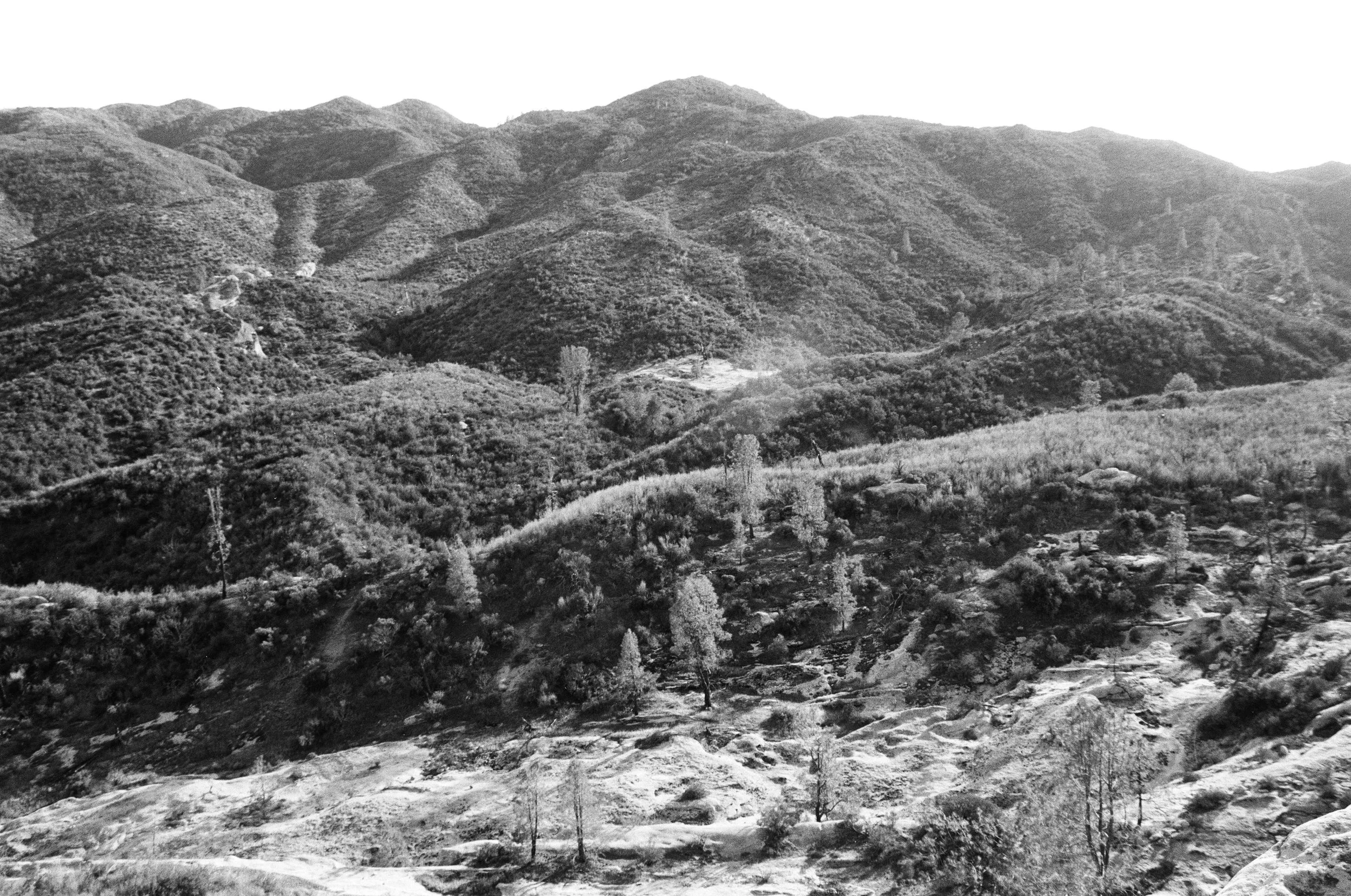 White Ledge BW 5.JPG