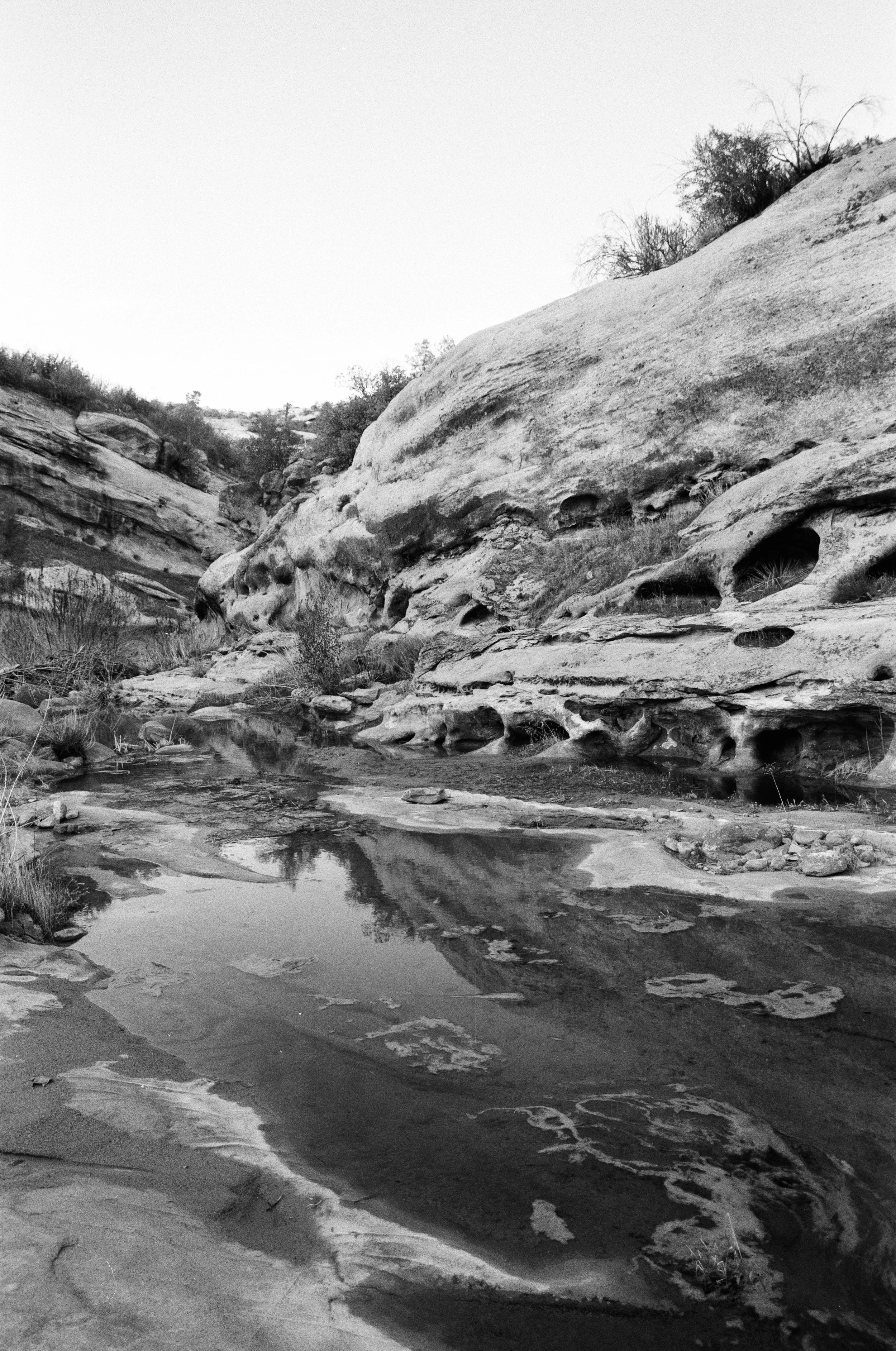 White Ledge BW 6.JPG