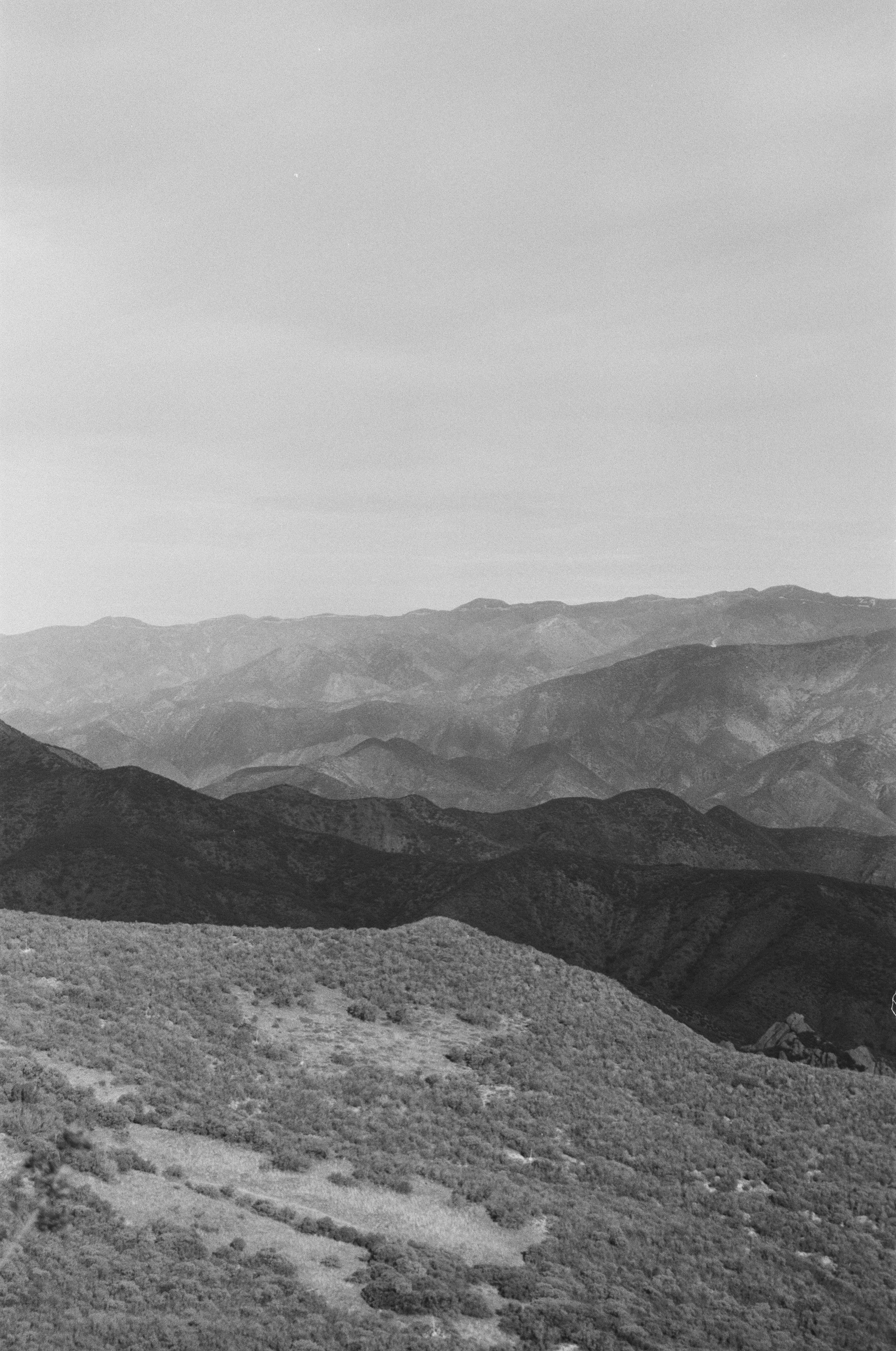 White Ledge BW 9.JPG