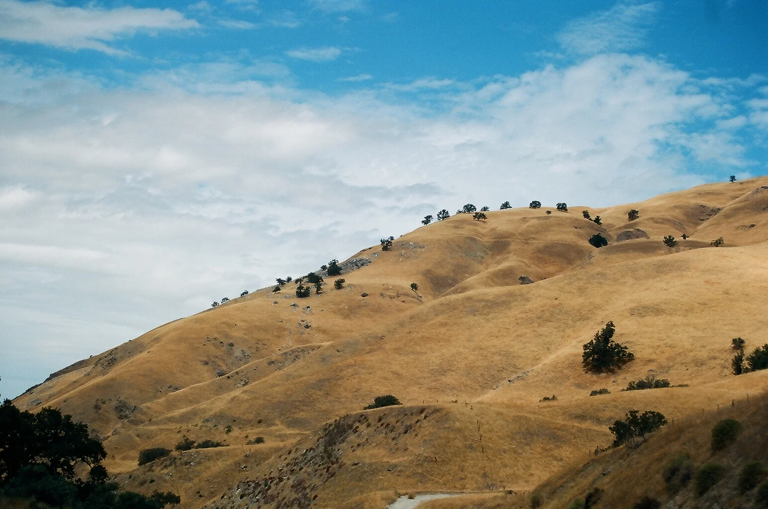 California Hills.JPG