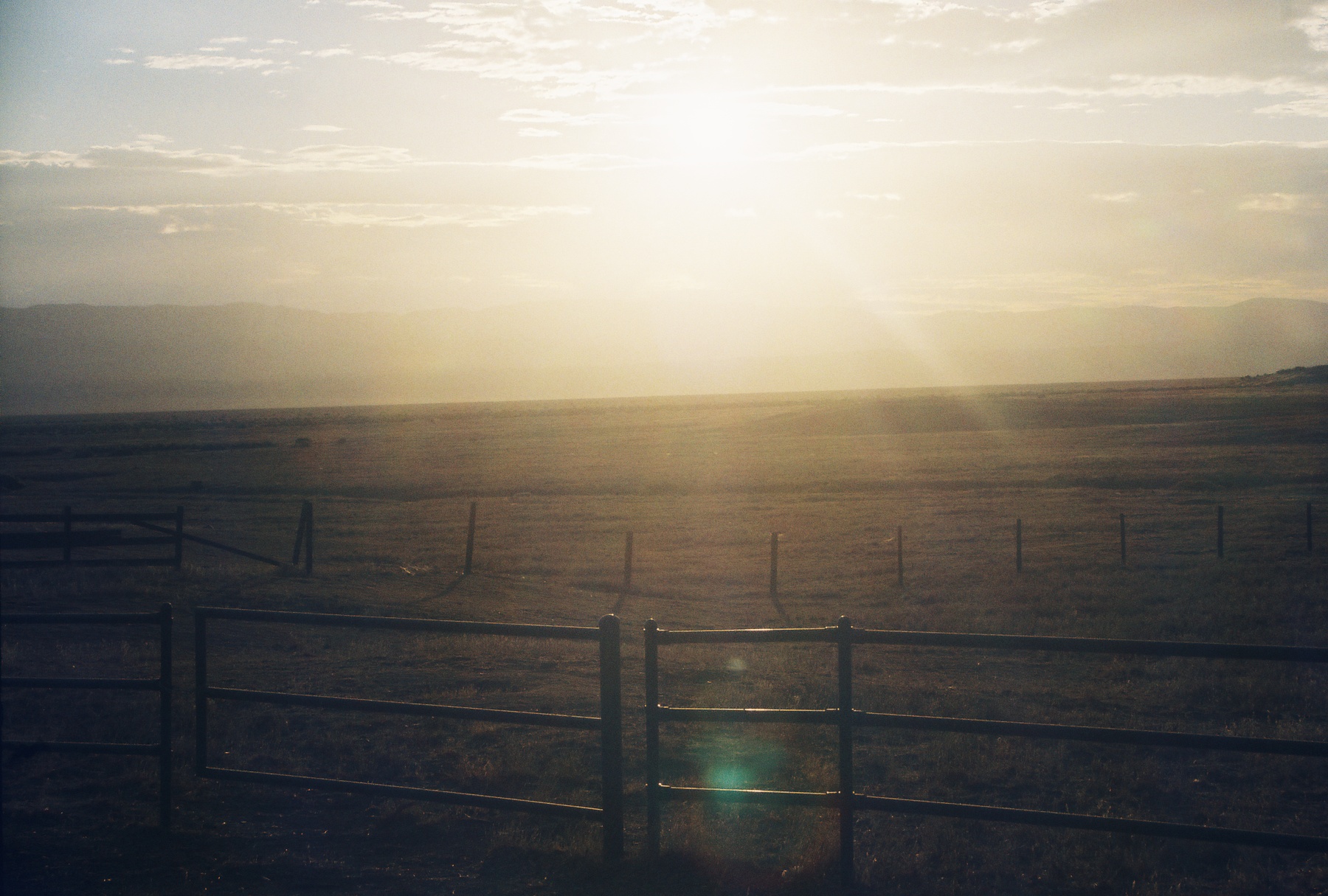 Carrizo Plain August 14 3.jpg