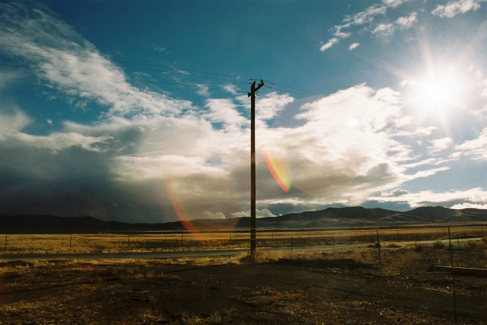 Carrizo Plain Day of Dead 2.jpg