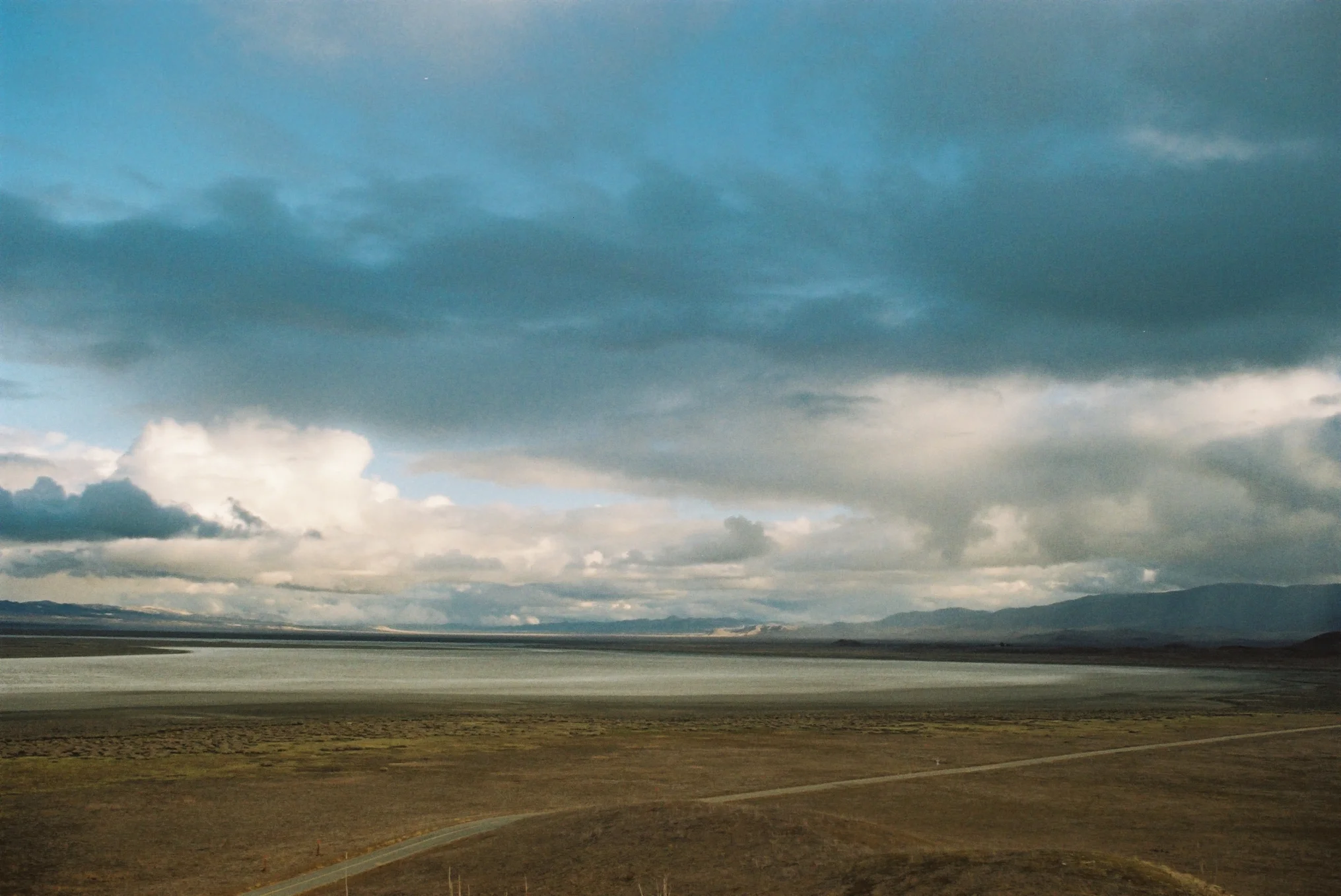Carrizo Plain Day of Dead 4.jpg