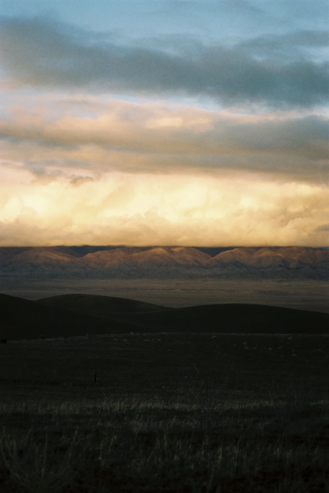 Carrizo Plain Day of Dead 8.jpg