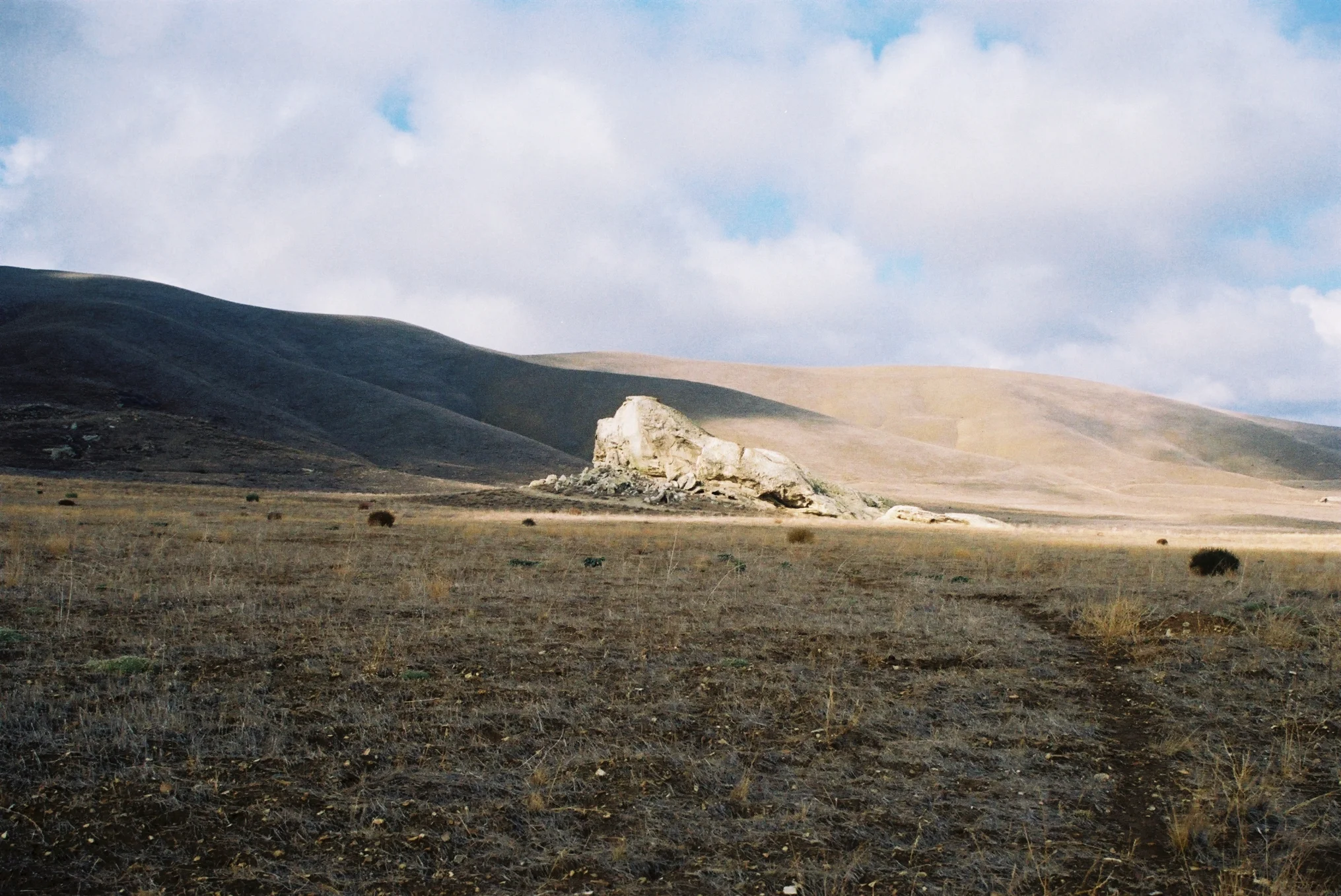 Carrizo Plain Day of Dead 9.jpg