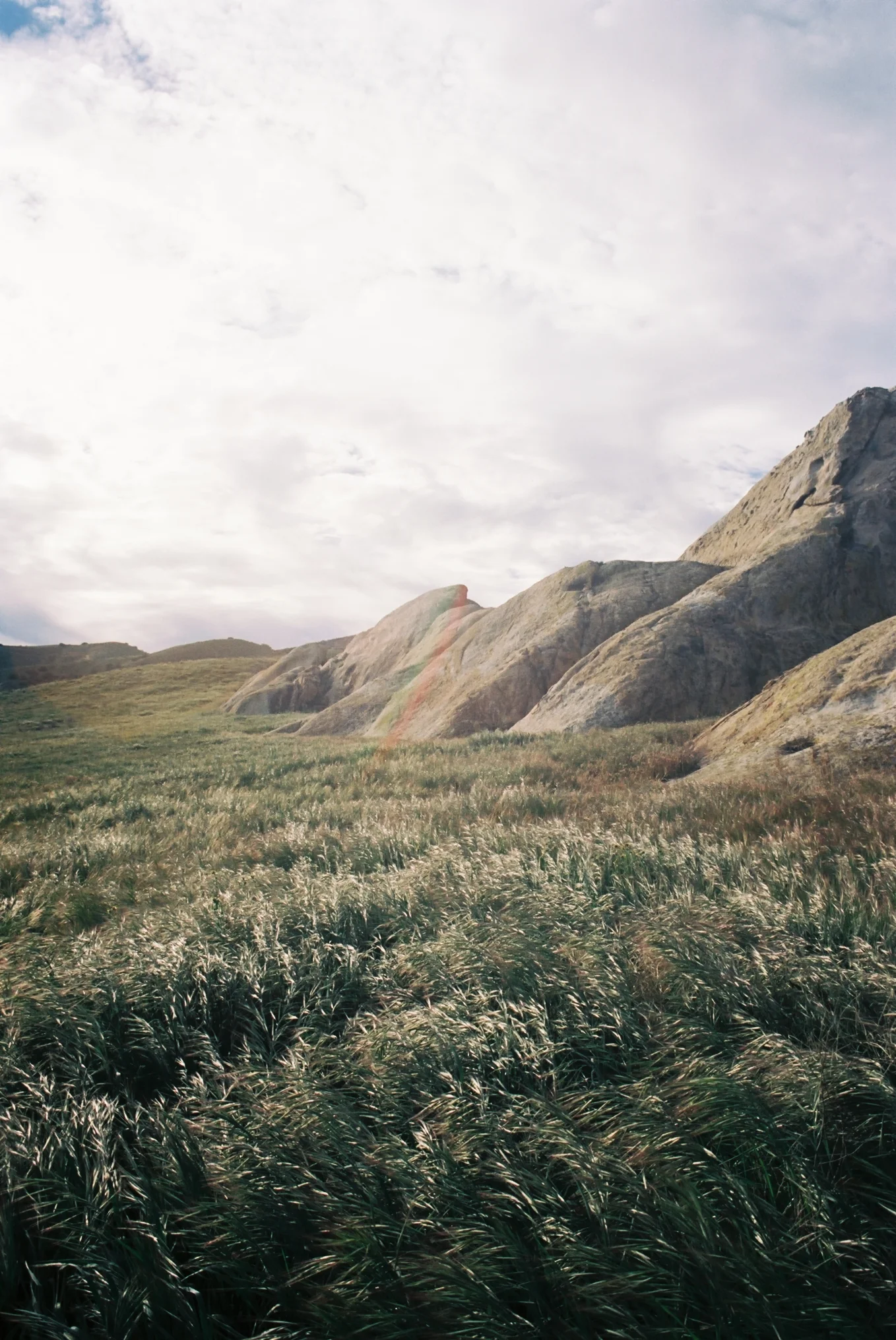 Carrizo Plain March 15 5.jpg