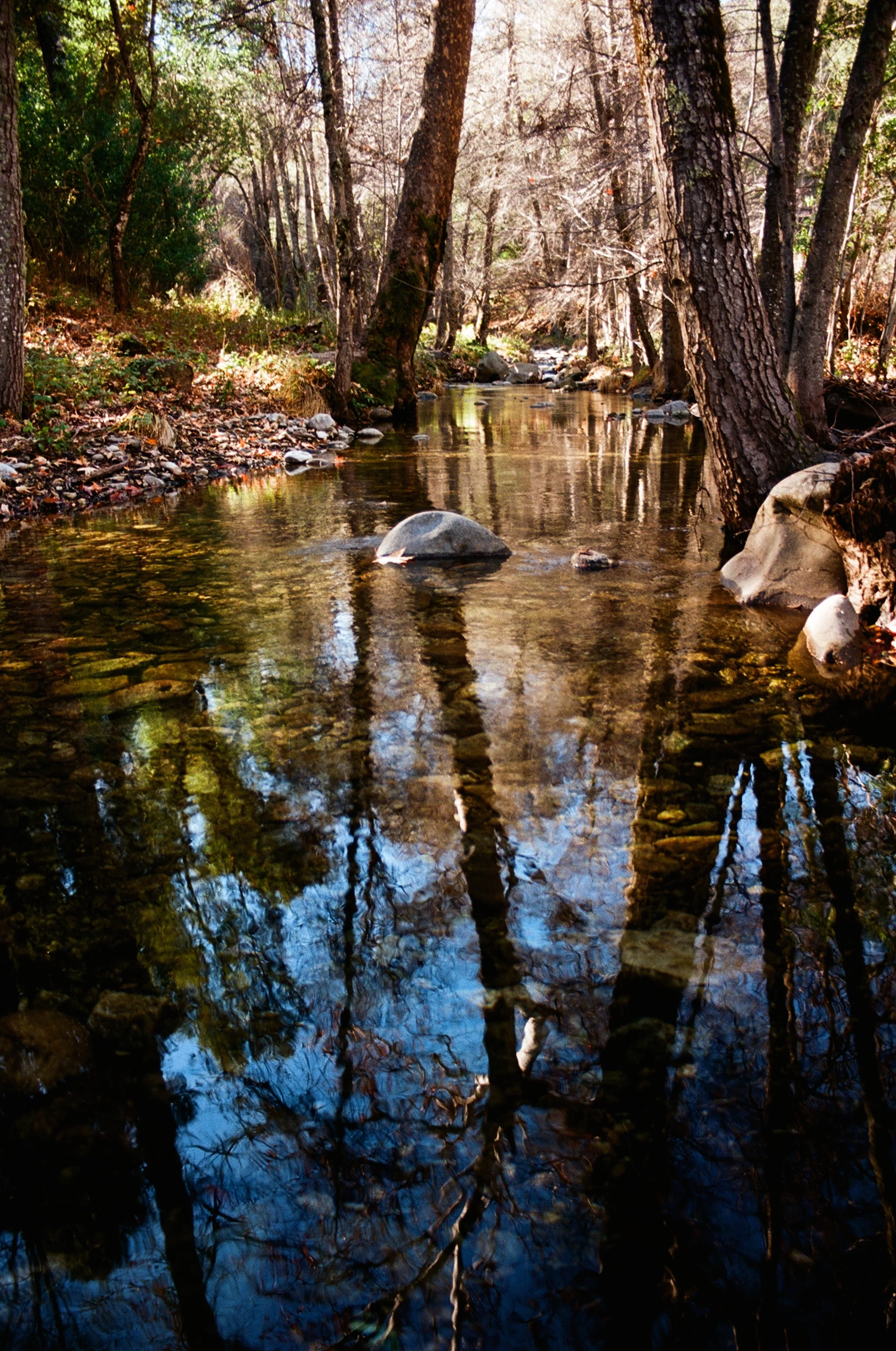 Nacimiento Creek.JPG