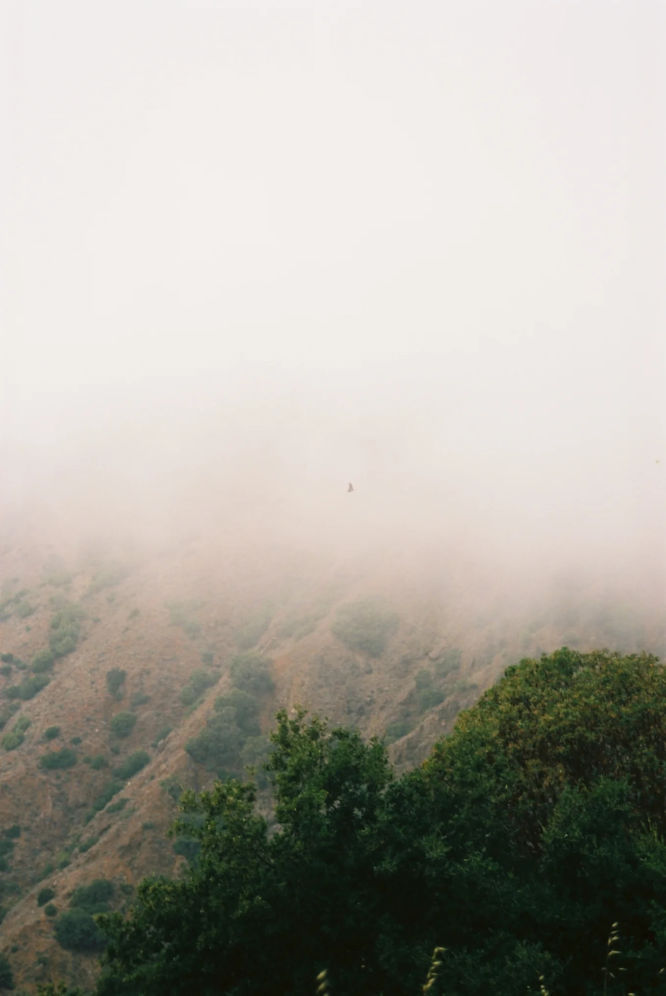 Villa Creek Return 9.jpg