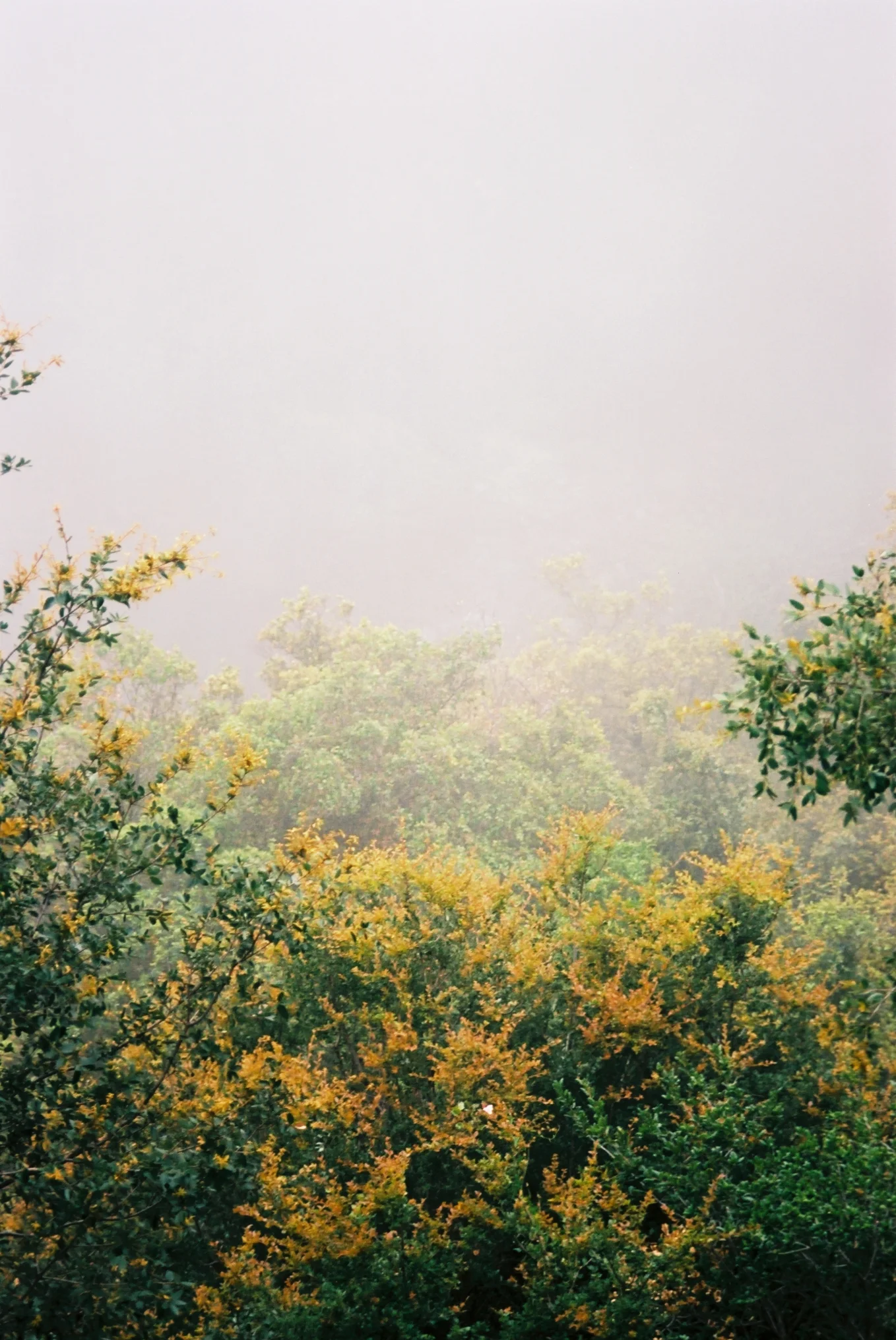 Villa Creek Return 11.jpg