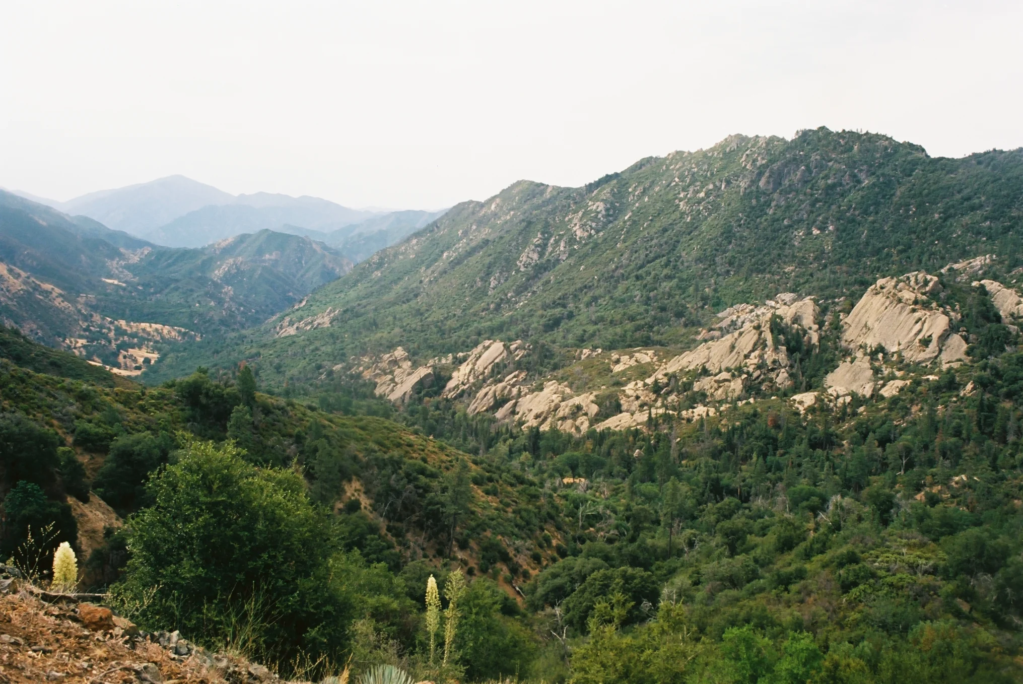 Pine Valley 3.jpg