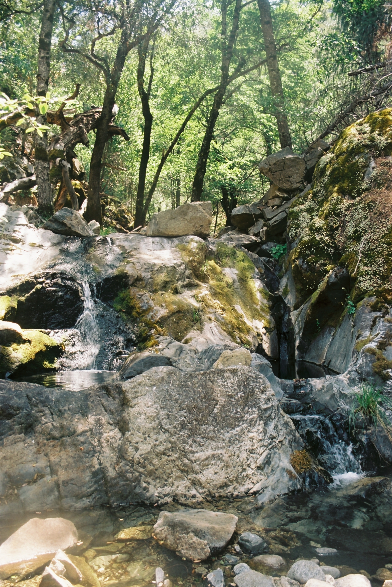 Pine Valley 6.jpg