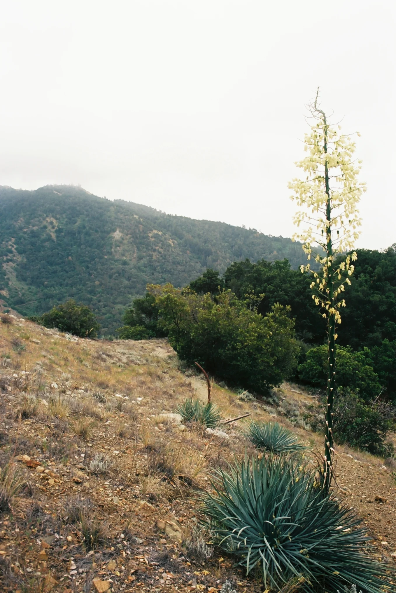 Villa Creek Return 6.jpg