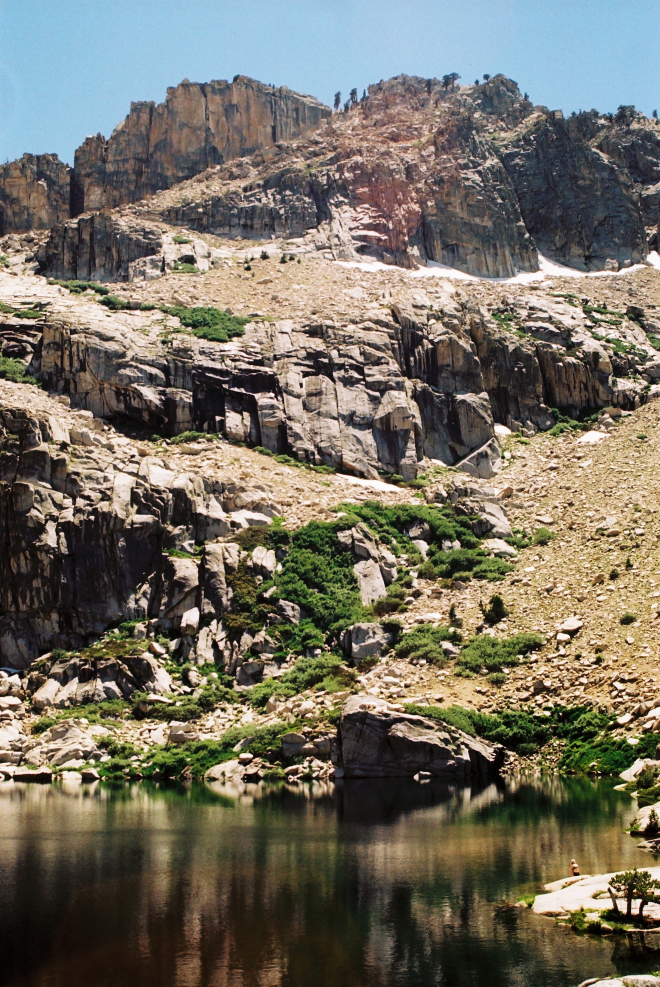sequoia4th51.jpg
