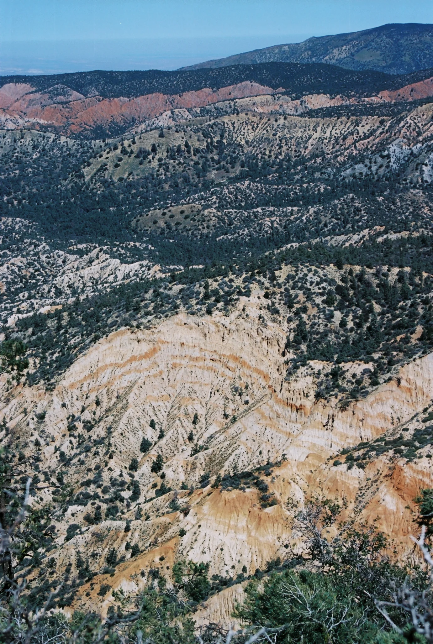A02819_029.jpg