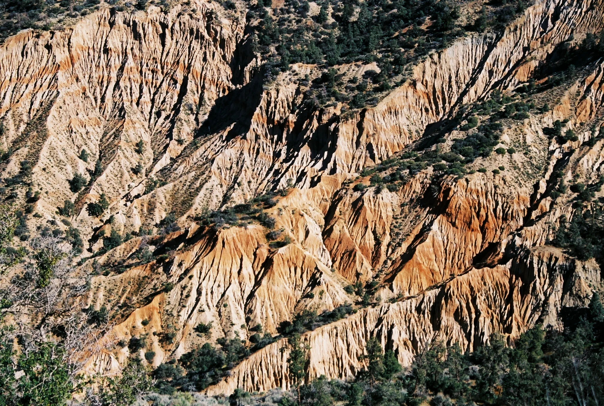 A02615_015.jpg