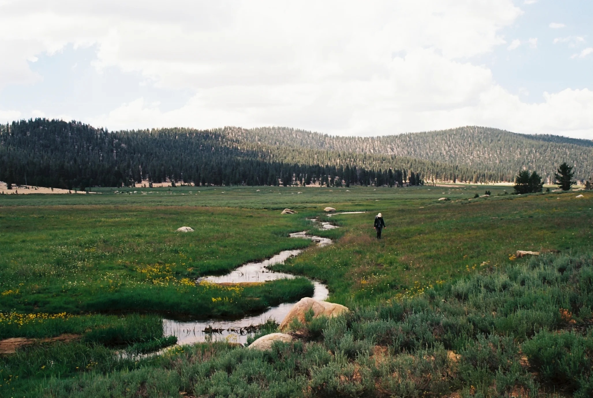 A03791_003.jpg