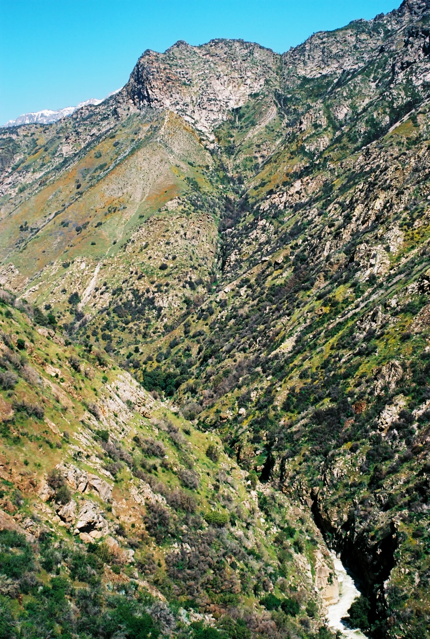 A02617_023.jpg