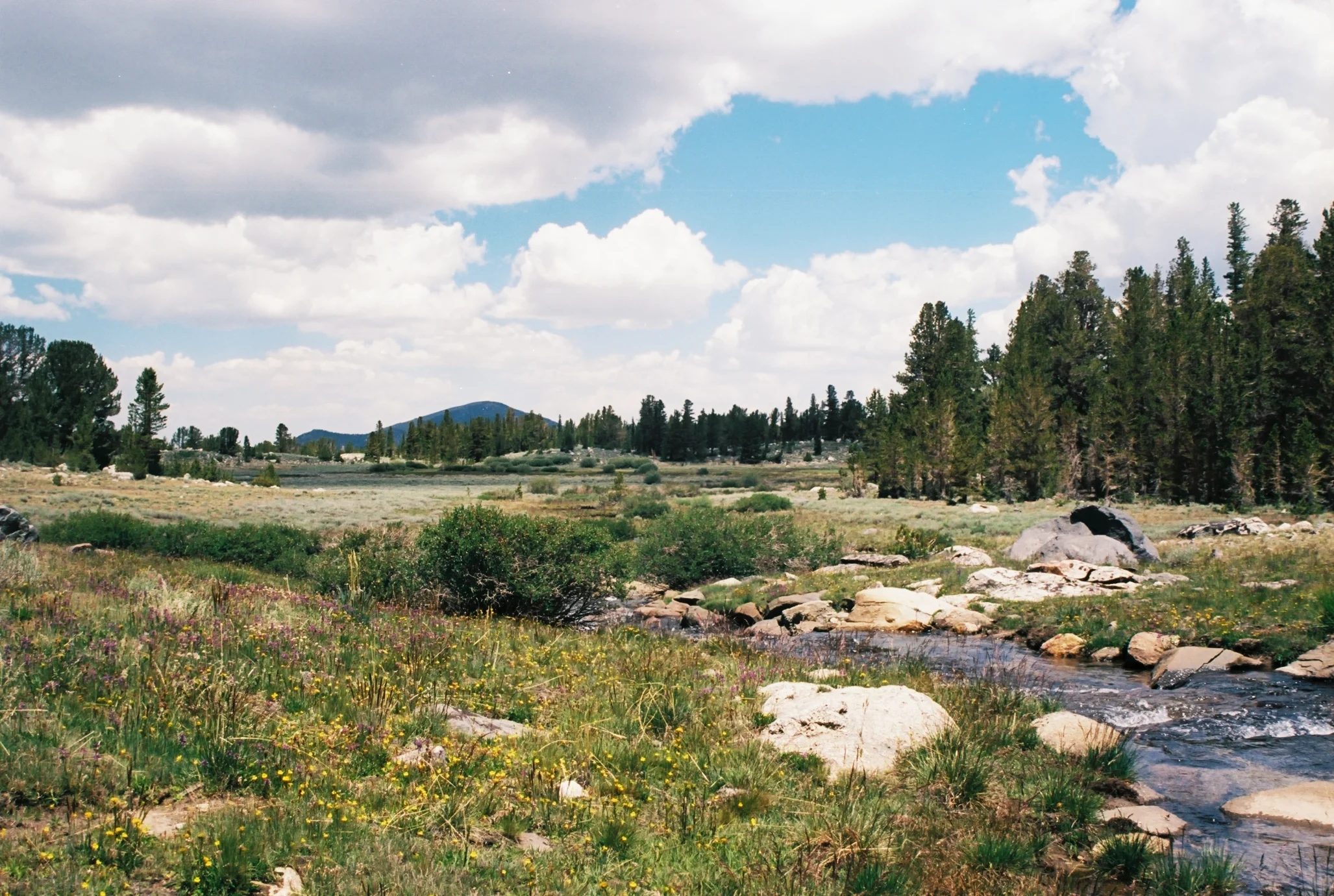 A08316_017.jpg