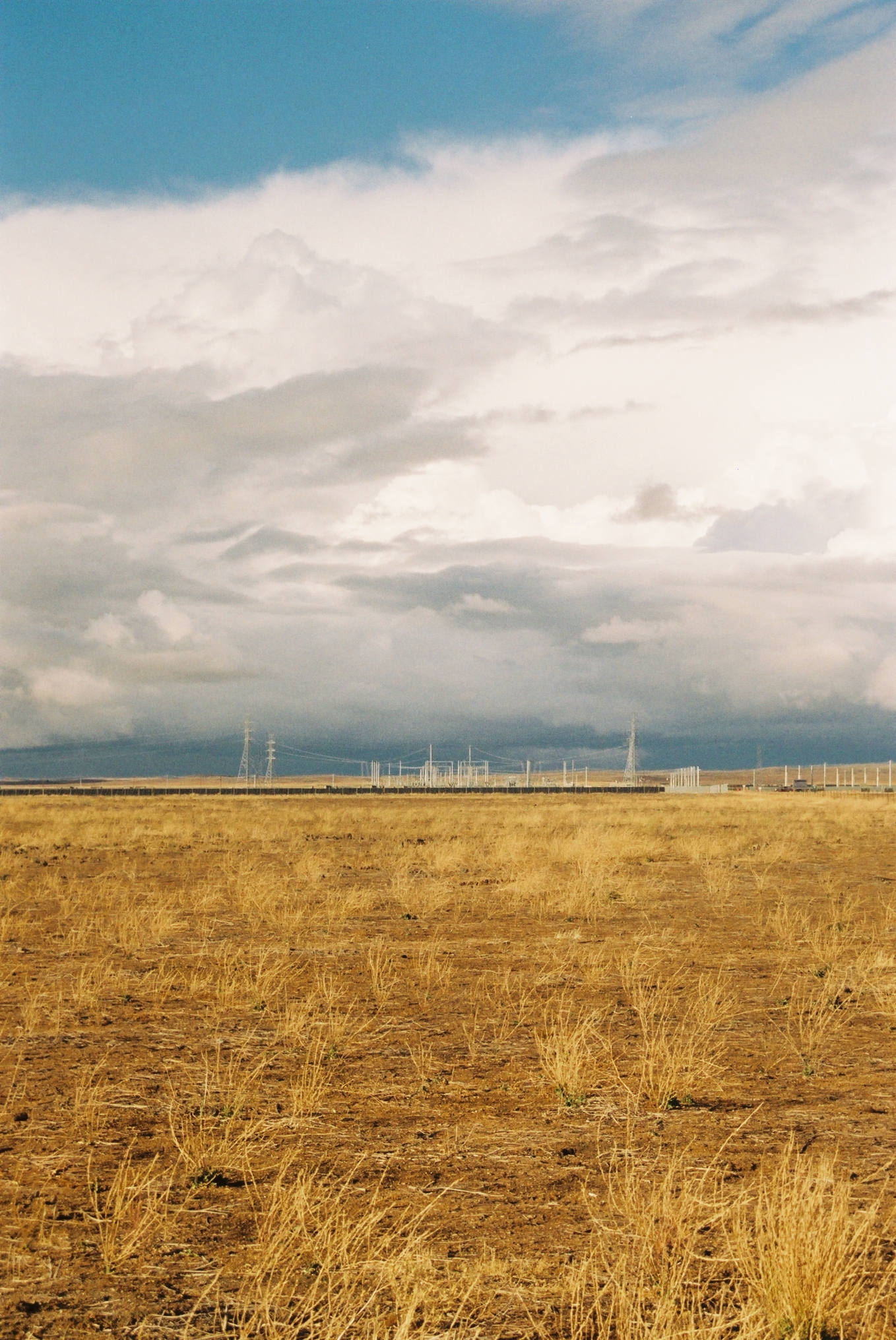 Power lines in and around the Carrizo Plain.