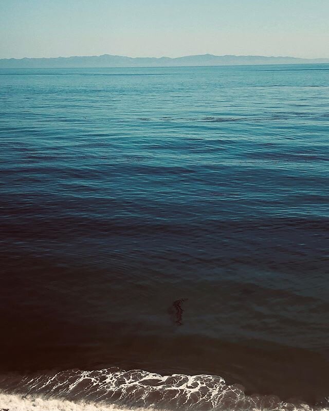 Wishing you a chill moment in time
.
.
.
.
.
.
.
#chillvibes #pacific #pacificocean #santabarbarabeach #santabarbara #goleta #805