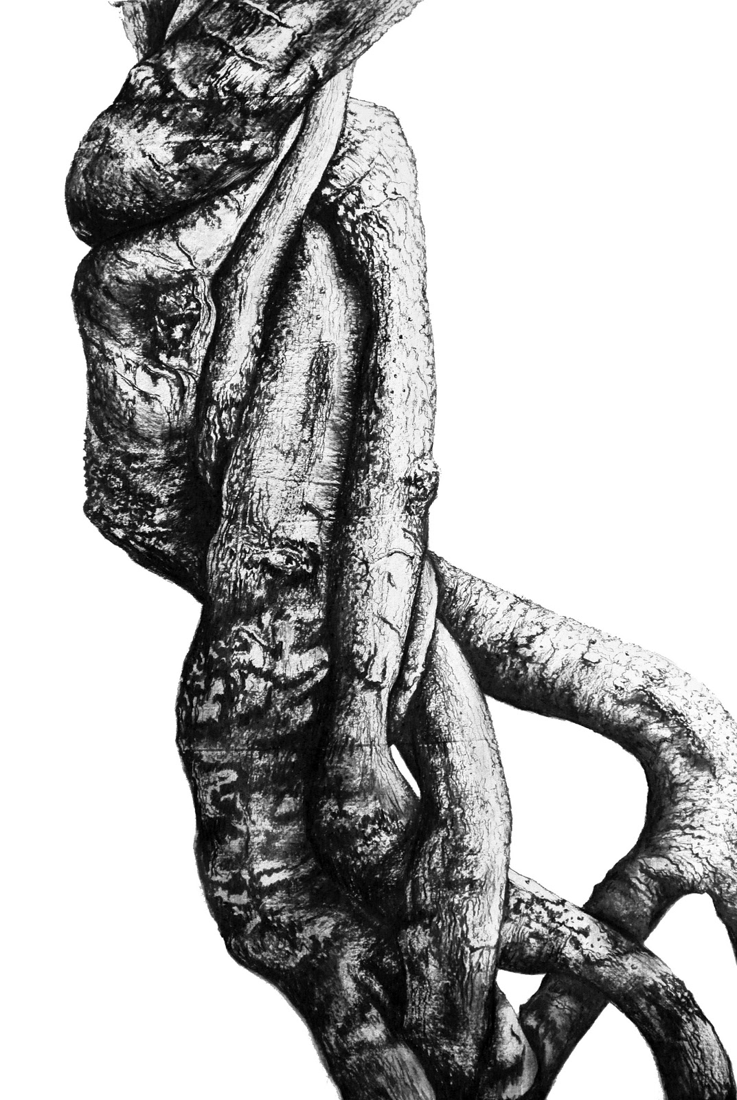 Embrace (El abrazo), 2013