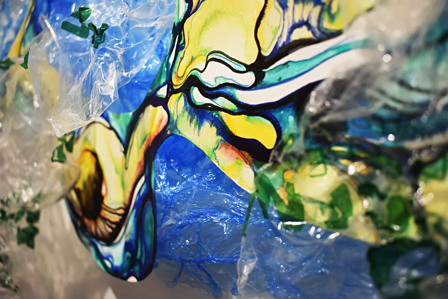 Caribbean Coral, 2016 (detail)