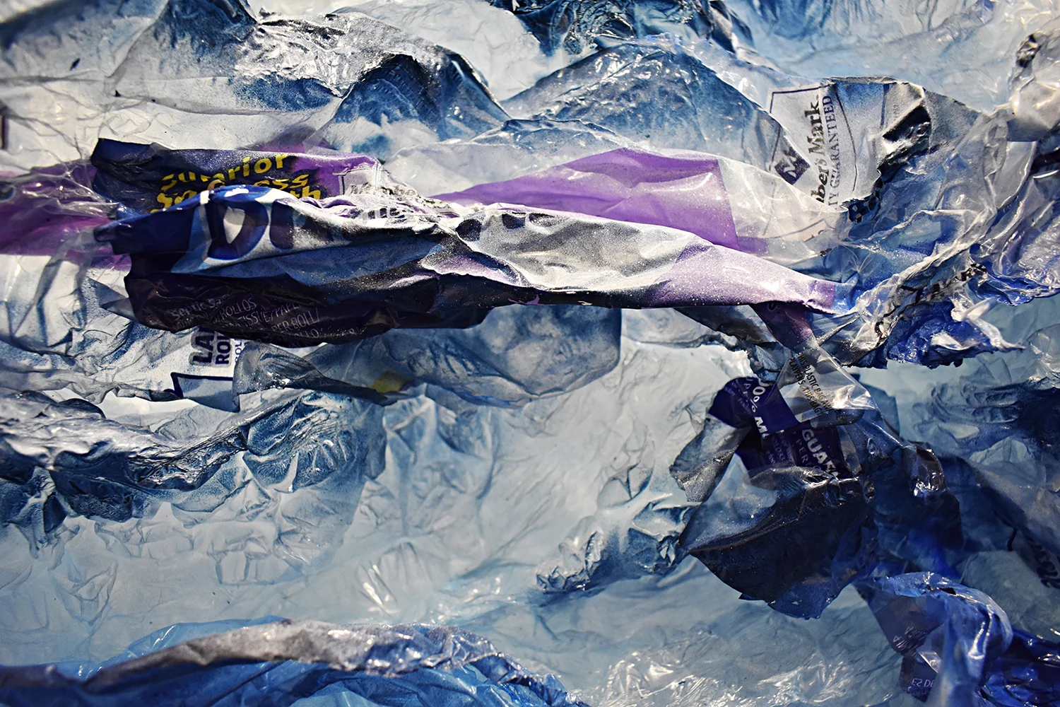 Arrecife antropológico, 2016 (detail)