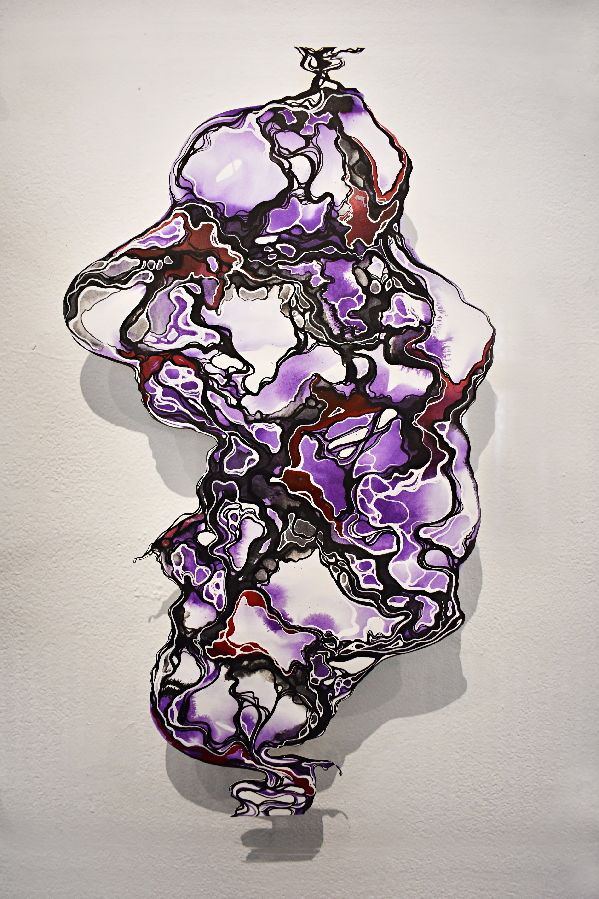 Coralline Algae, 2015