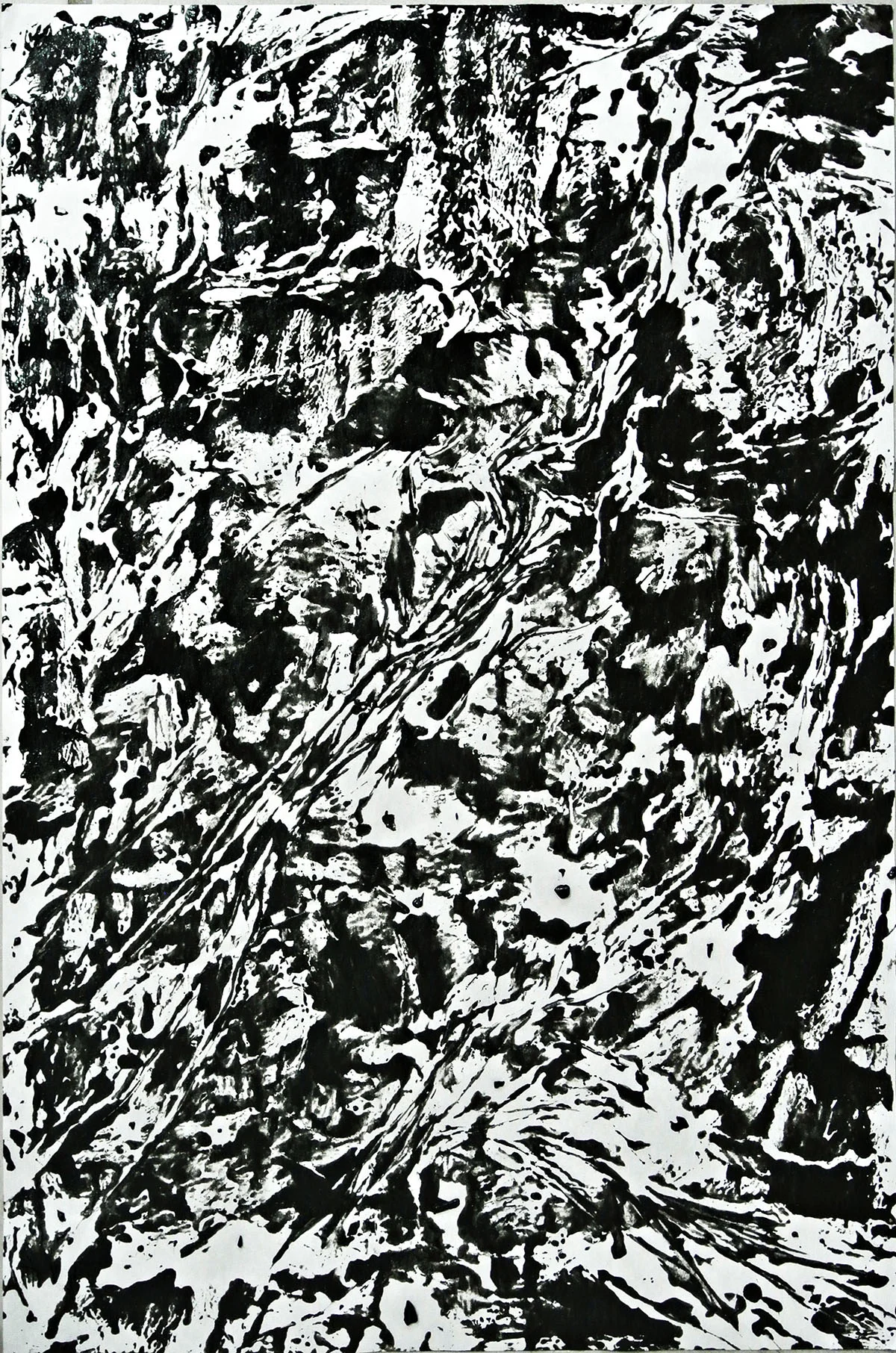 Vestigium Ritidoma I, 2015